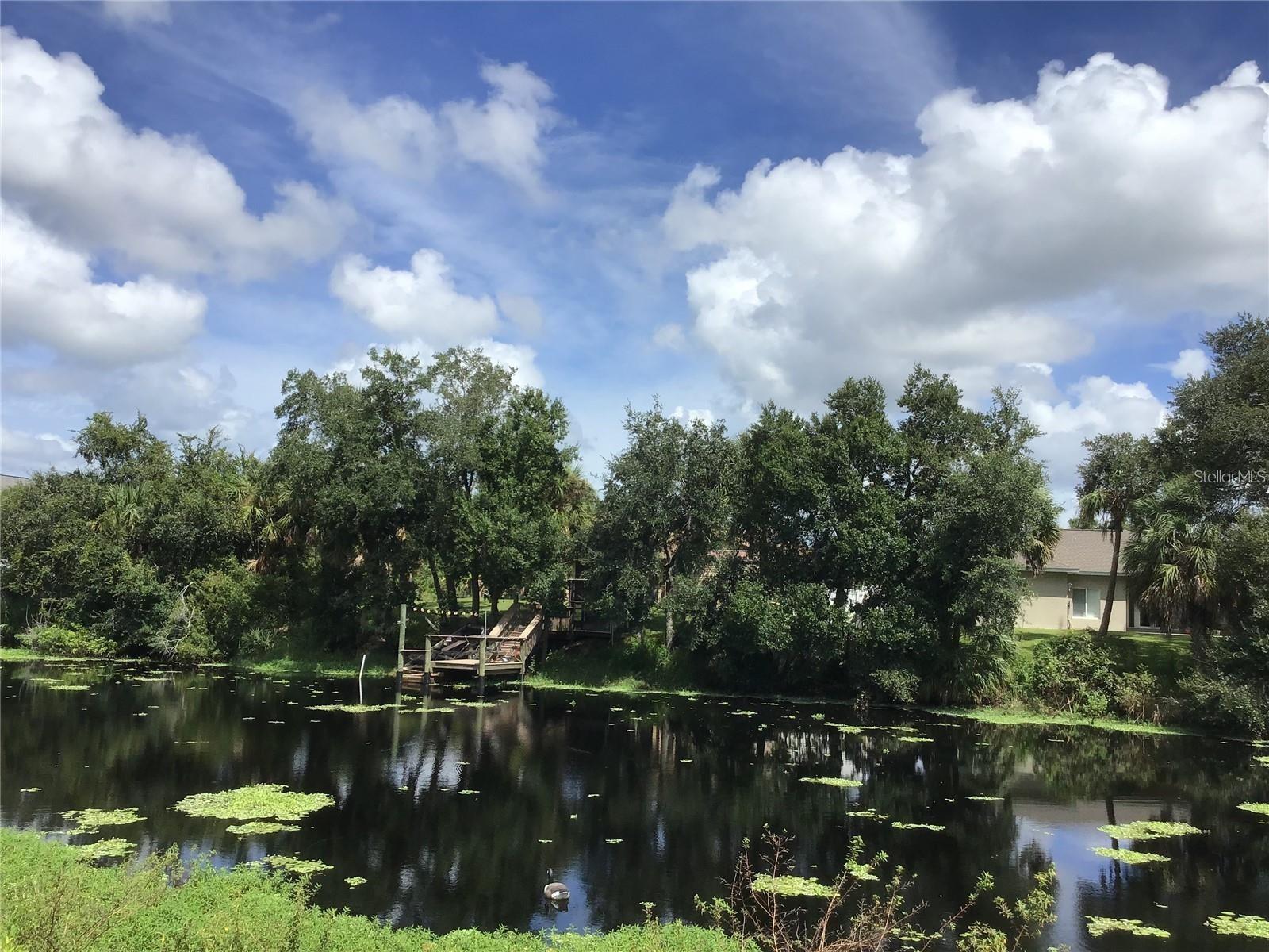 1292 W HILLSBOROUGH BLVD, NORTH PORT, FL — photo 3