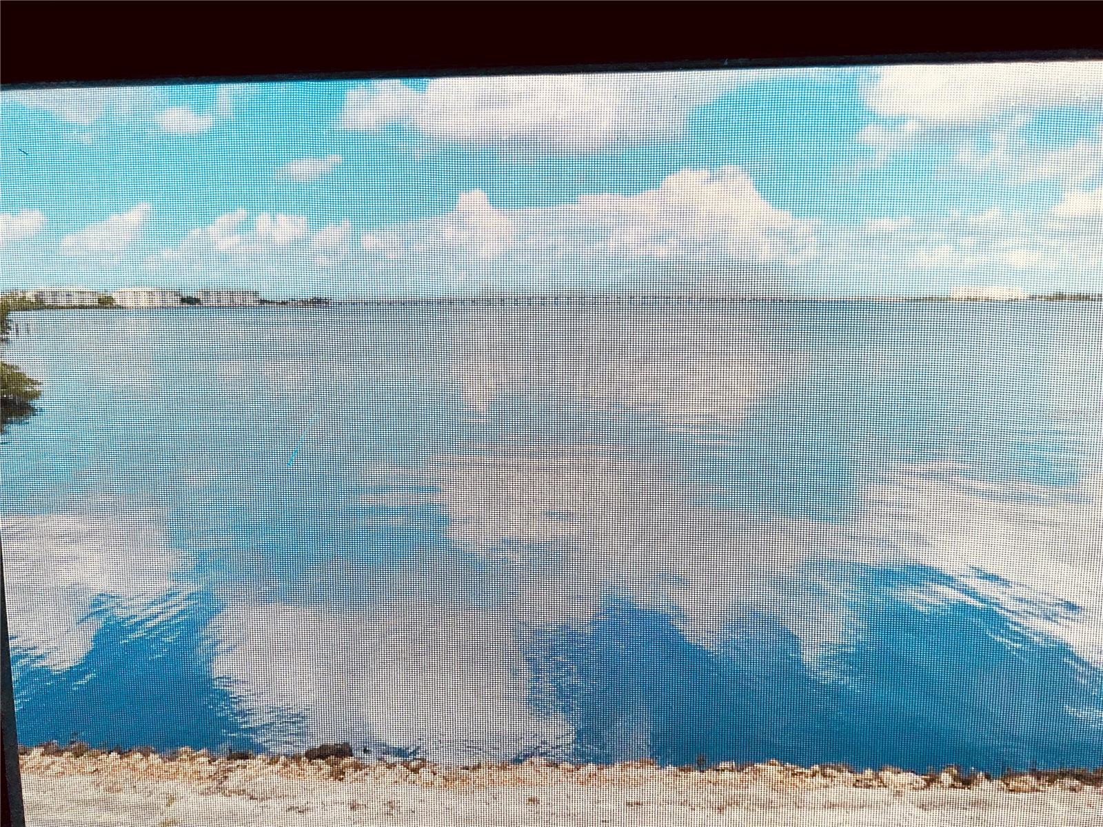 900 E MARION AVE #1213, PUNTA GORDA, FL — photo 30