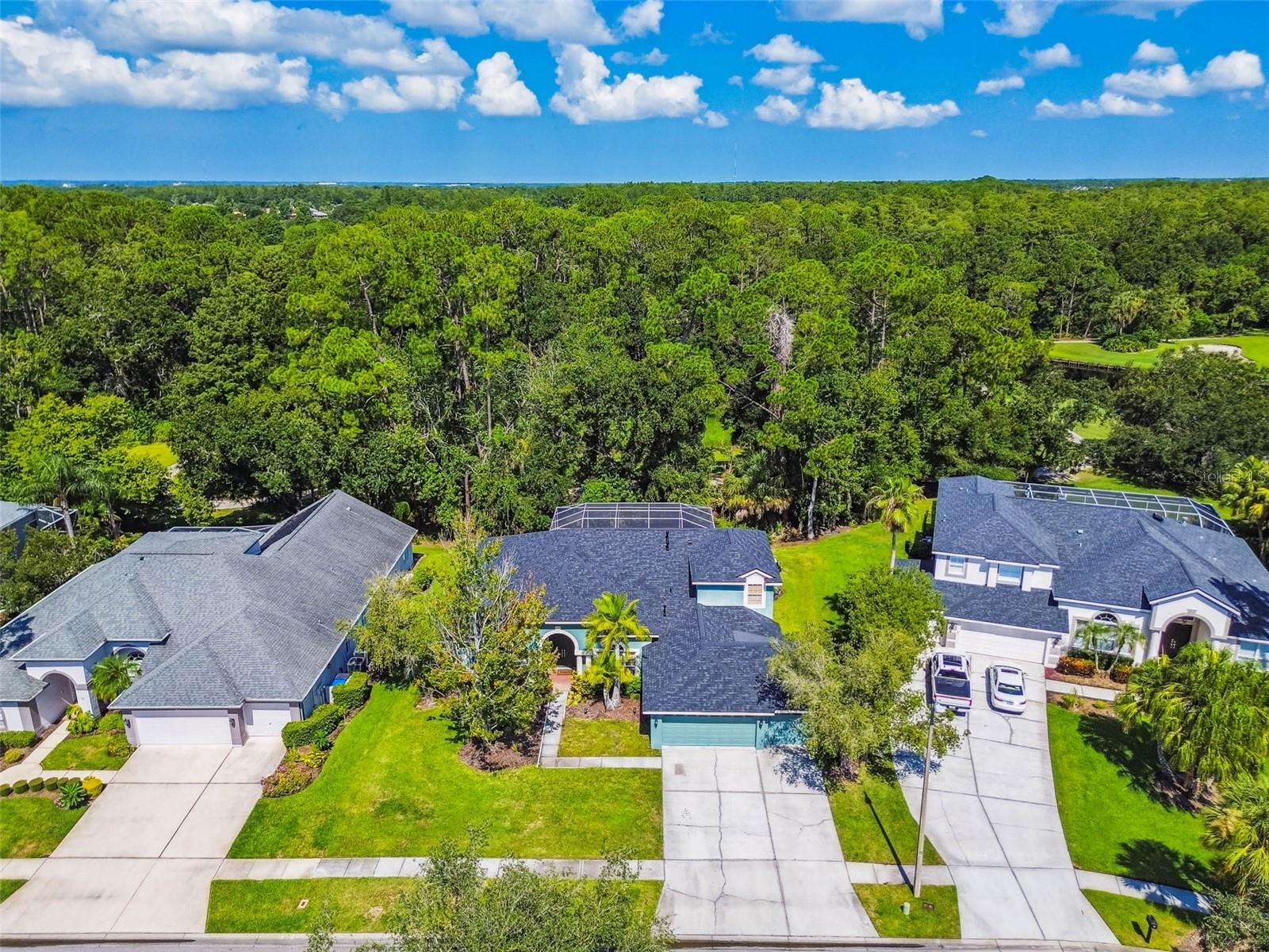 10526 GREENCREST DR, TAMPA, FL — photo 39