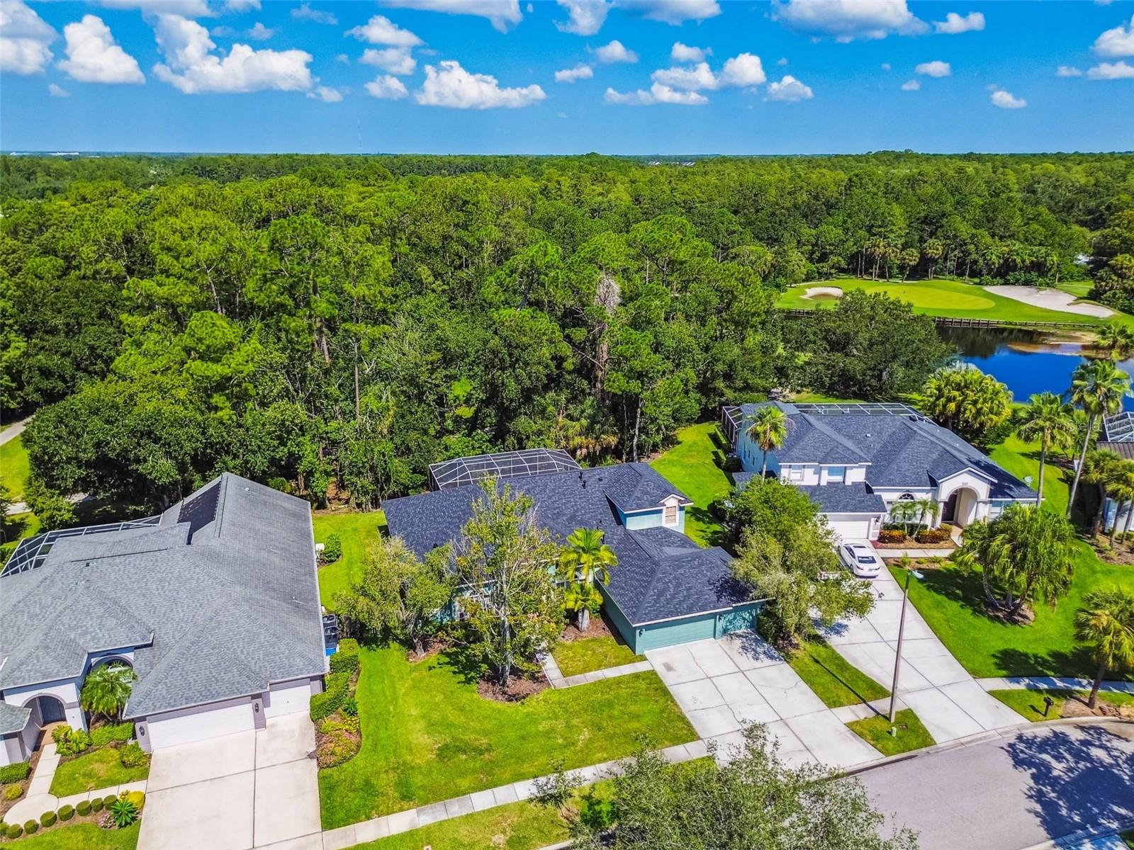 10526 GREENCREST DR, TAMPA, FL — photo 43