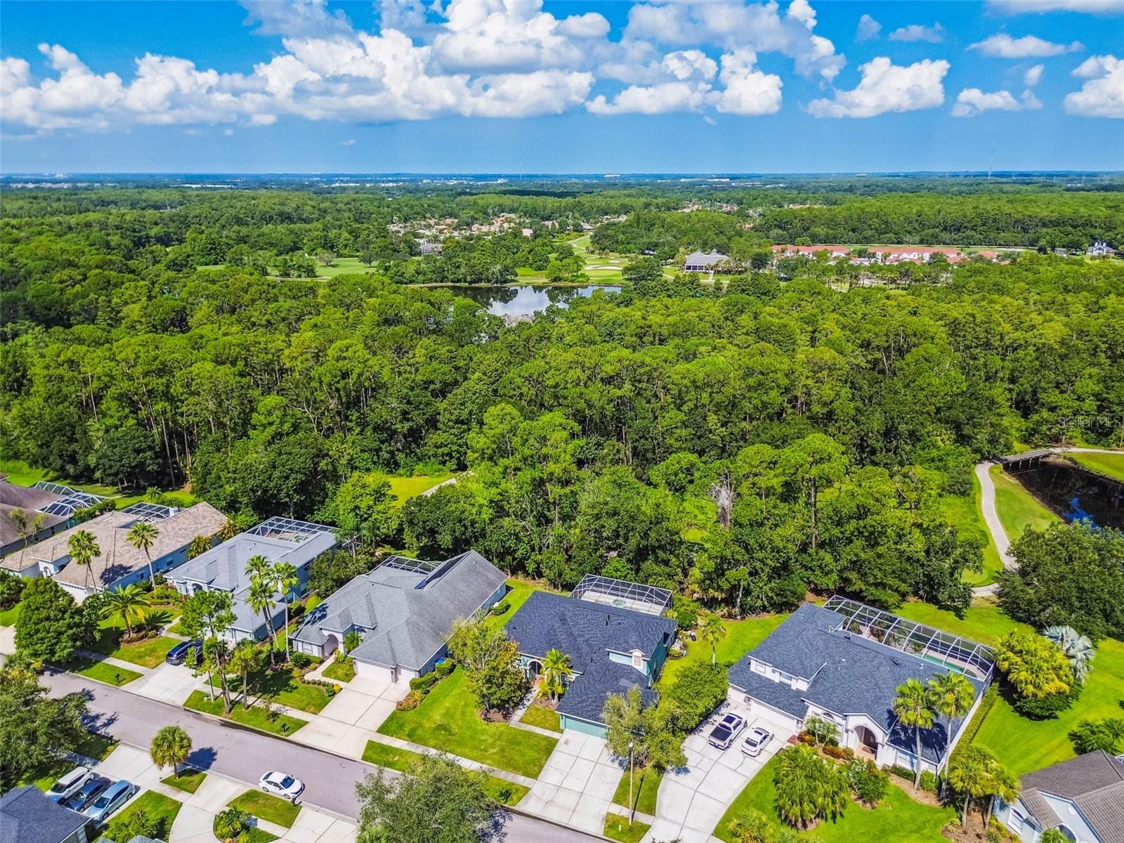 10526 GREENCREST DR, TAMPA, FL — photo 48