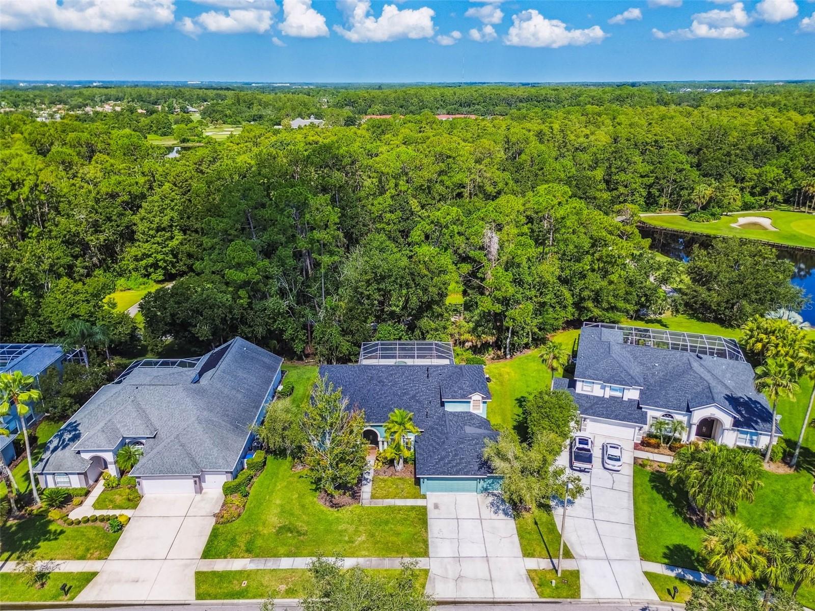 10526 GREENCREST DR, TAMPA, FL — photo 49