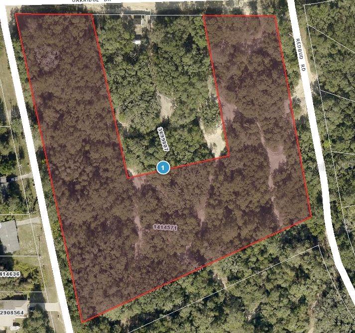 TBD MAGNOLIA ST, LADY LAKE, FL