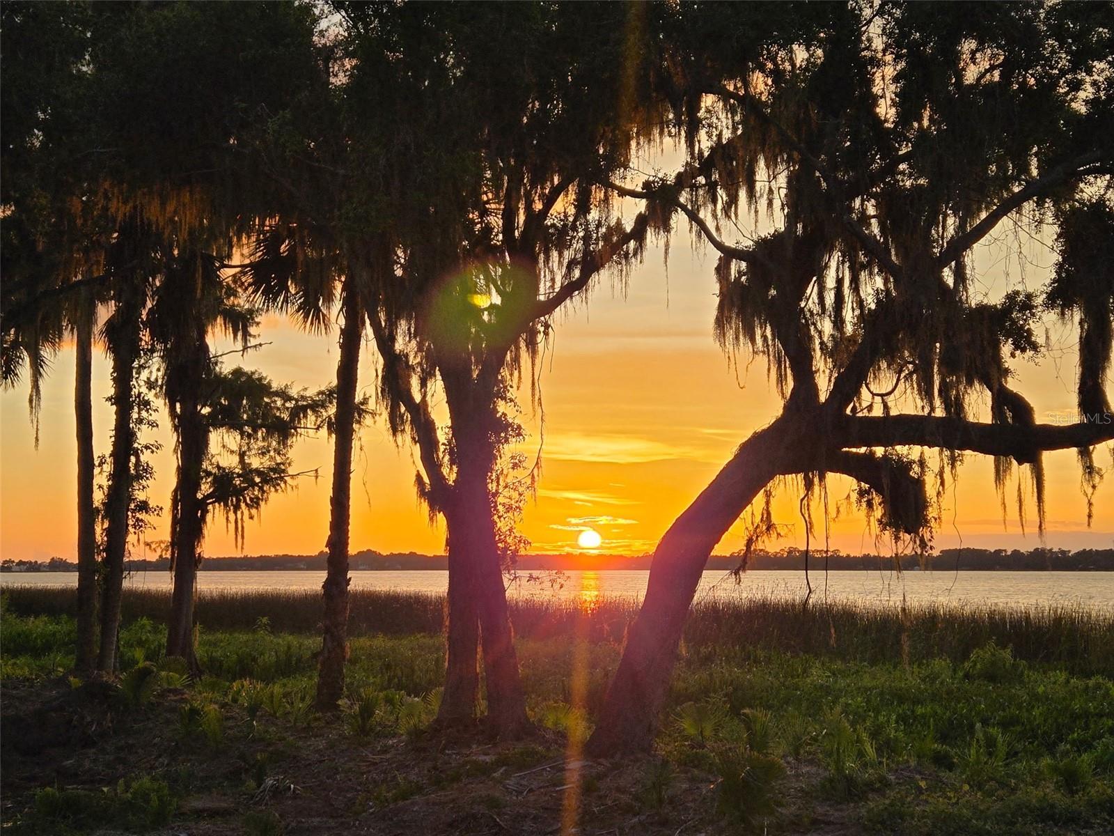 BLUE HERON CIR #Lot K-10, TAVARES, FL — photo 7
