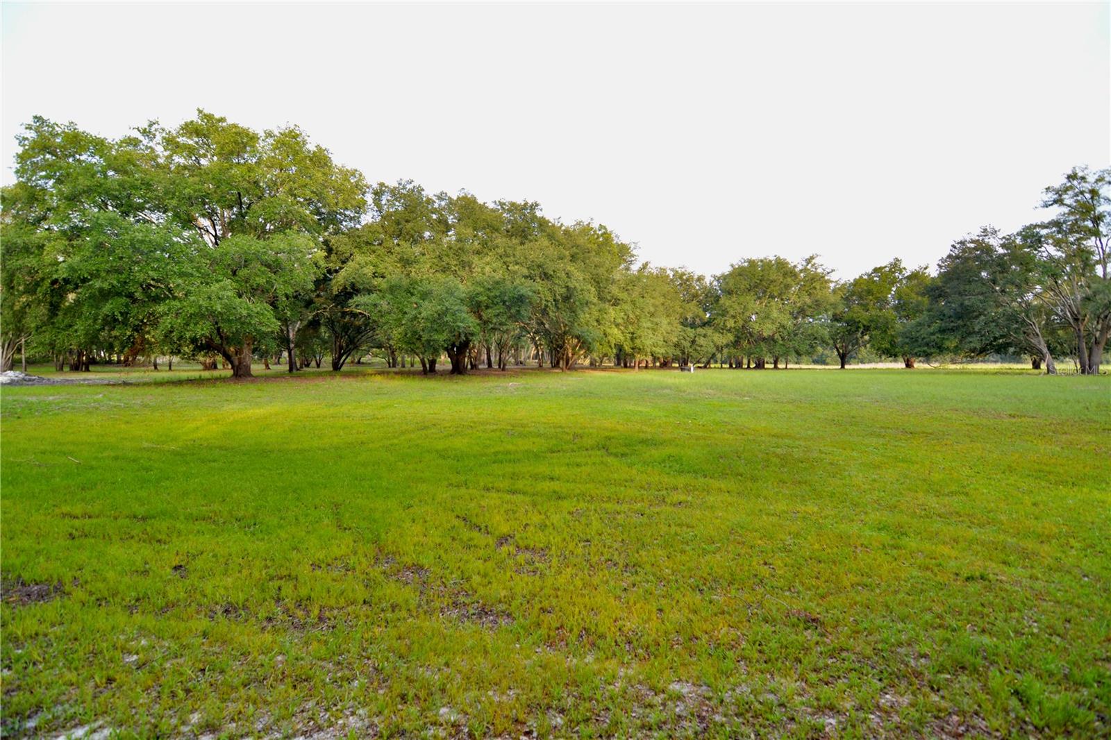 2669 NW SUWANNEE VALLEY RD, LAKE CITY, FL — photo 4