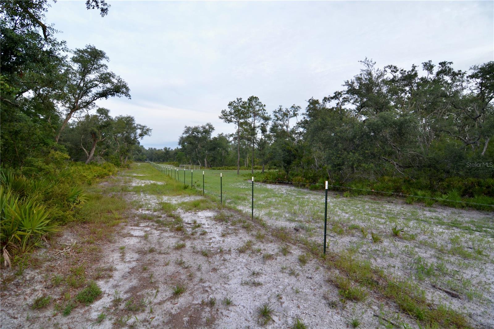 2669 NW SUWANNEE VALLEY RD, LAKE CITY, FL — photo 11