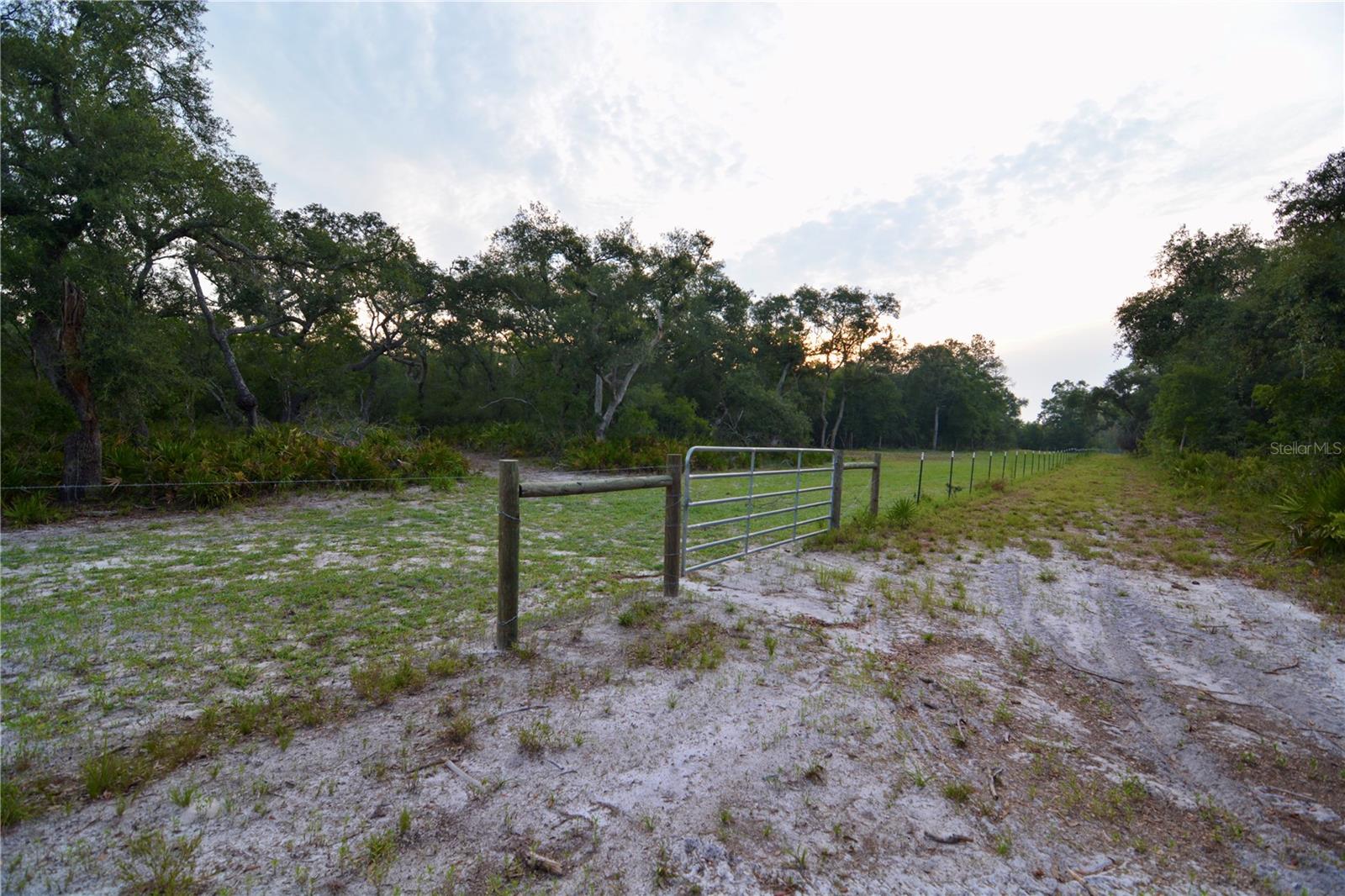 2669 NW SUWANNEE VALLEY RD, LAKE CITY, FL — photo 13