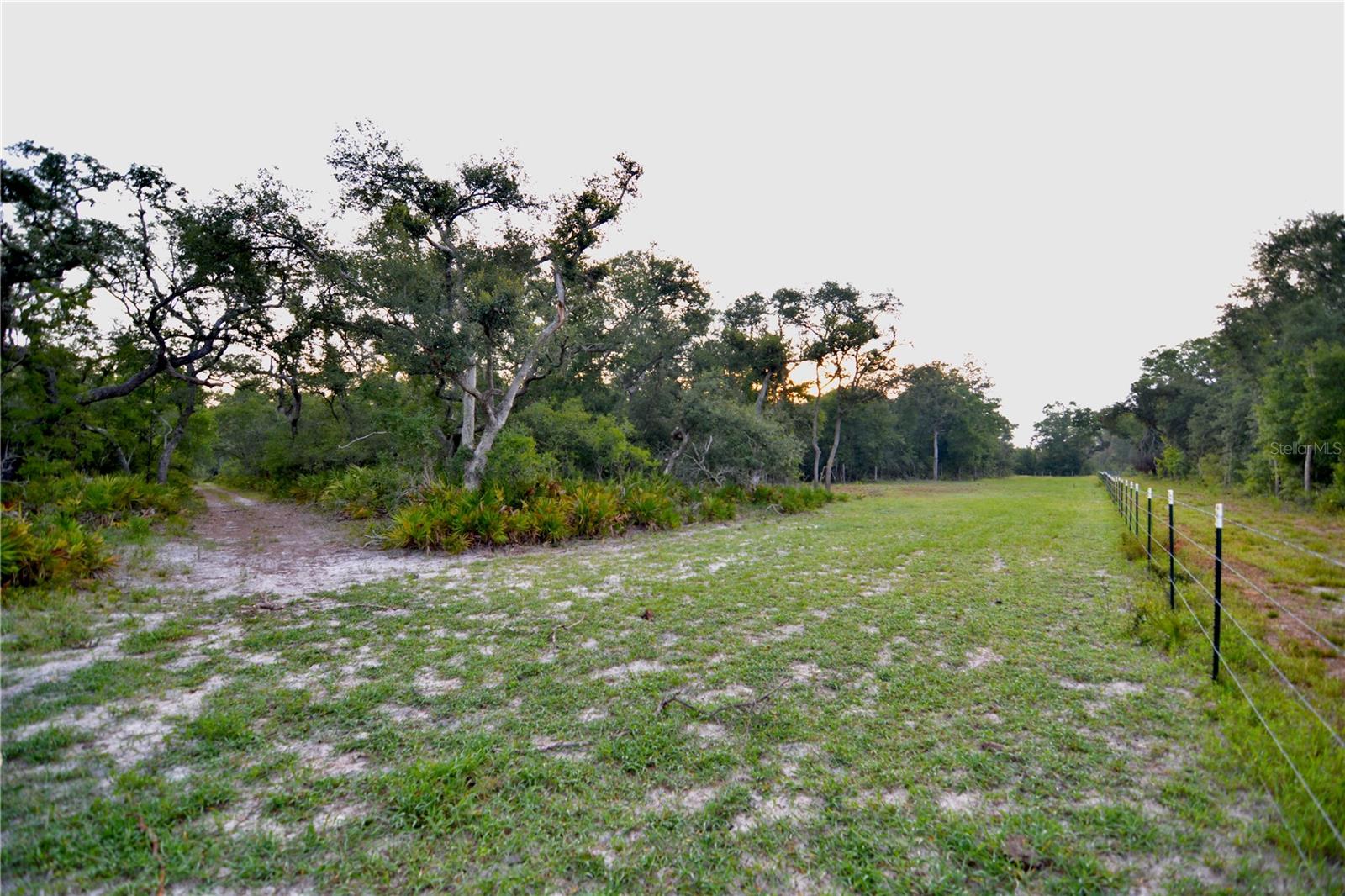 2669 NW SUWANNEE VALLEY RD, LAKE CITY, FL — photo 15