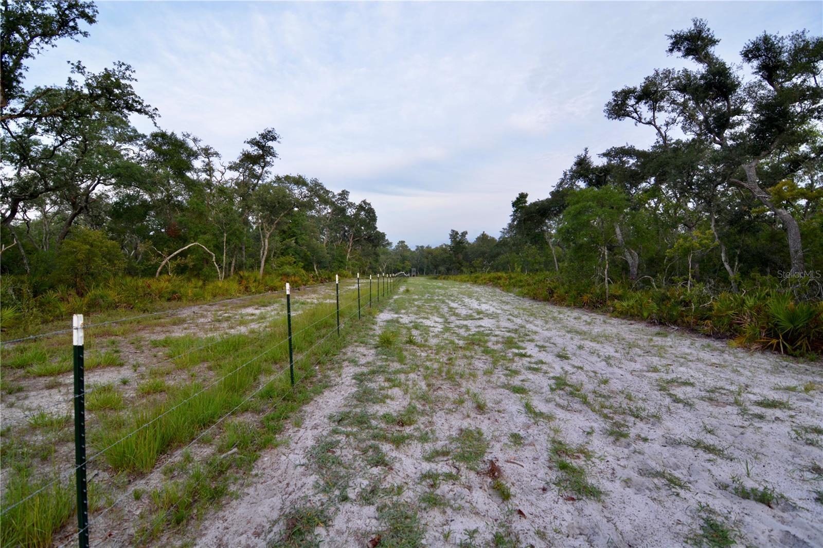2669 NW SUWANNEE VALLEY RD, LAKE CITY, FL — photo 17