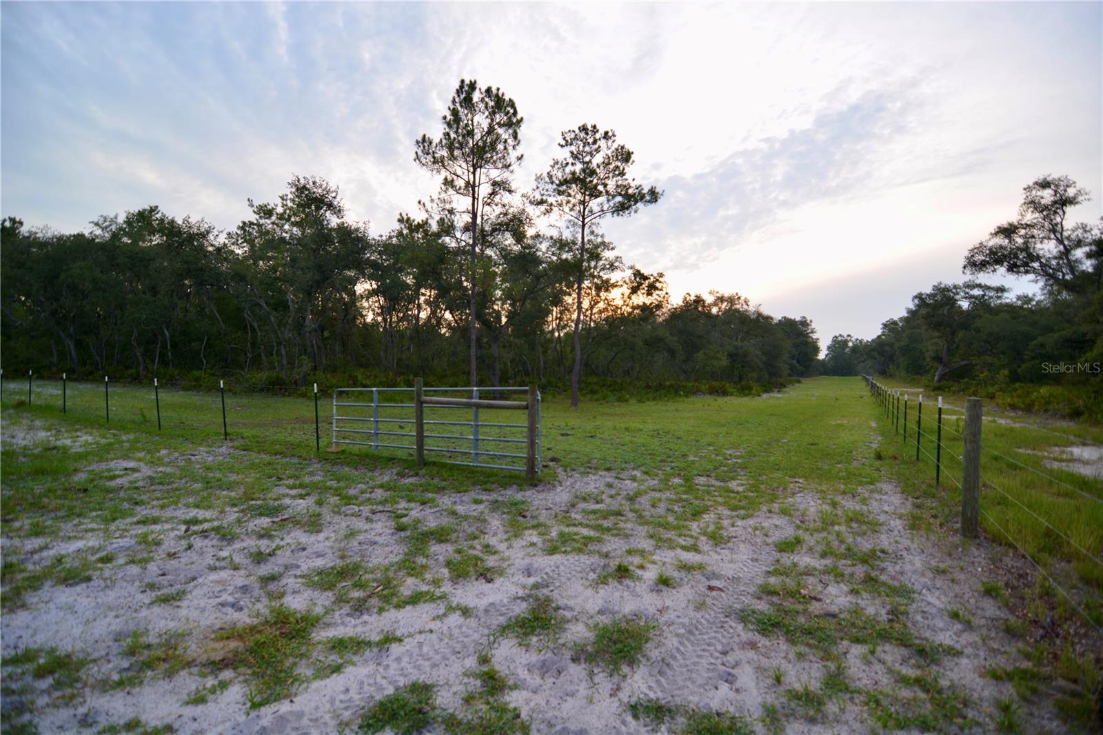 2669 NW SUWANNEE VALLEY RD, LAKE CITY, FL — photo 20