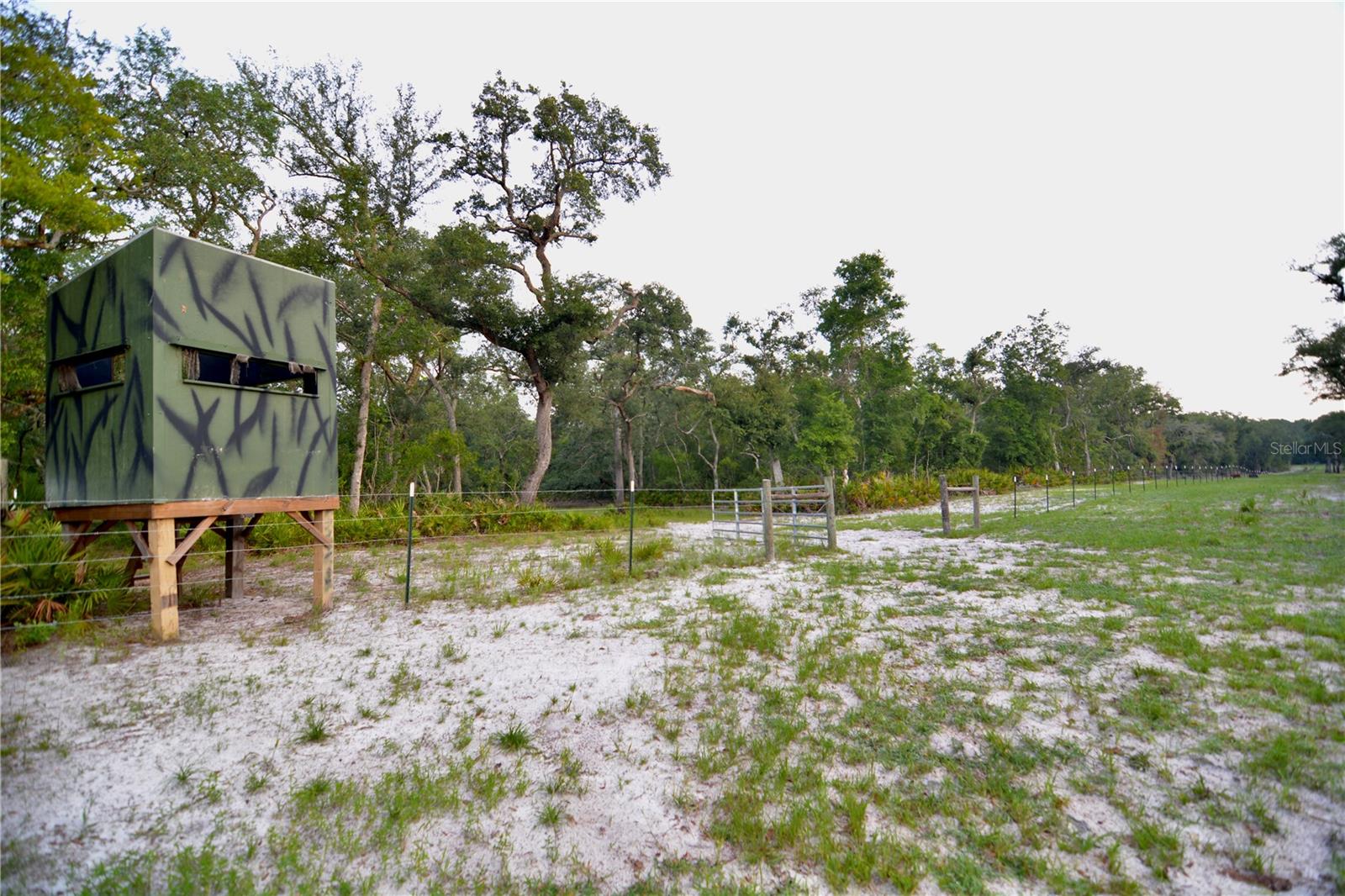 2669 NW SUWANNEE VALLEY RD, LAKE CITY, FL — photo 22