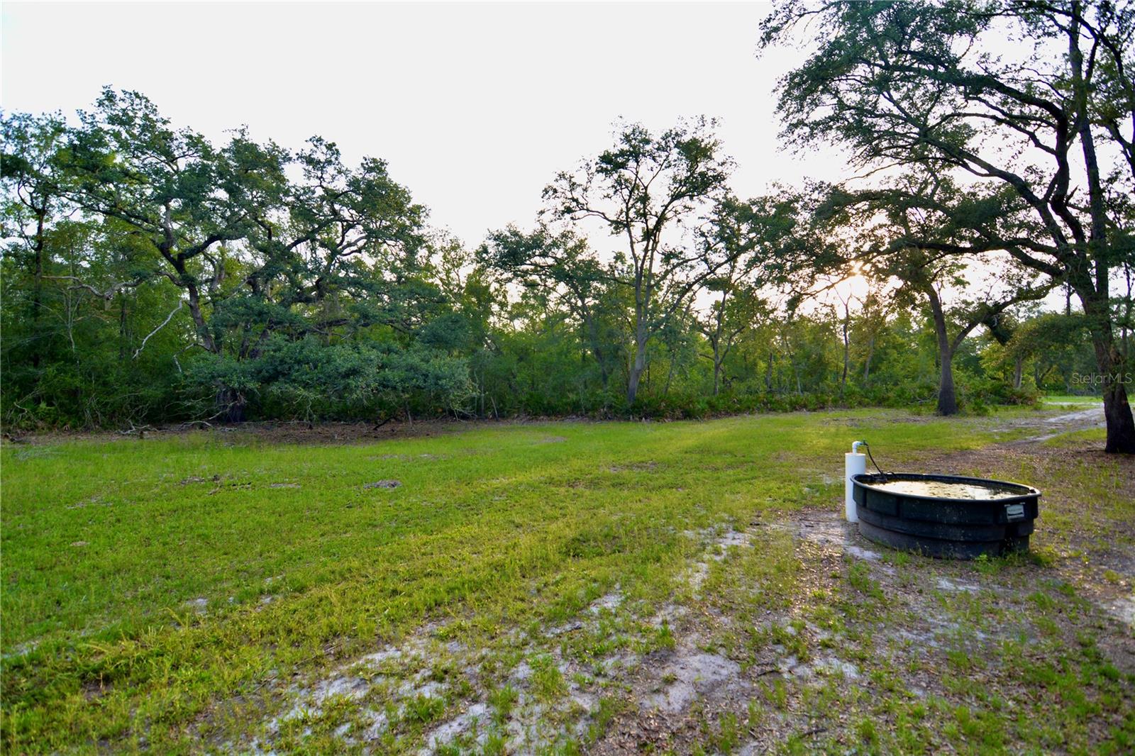 2669 NW SUWANNEE VALLEY RD, LAKE CITY, FL — photo 23