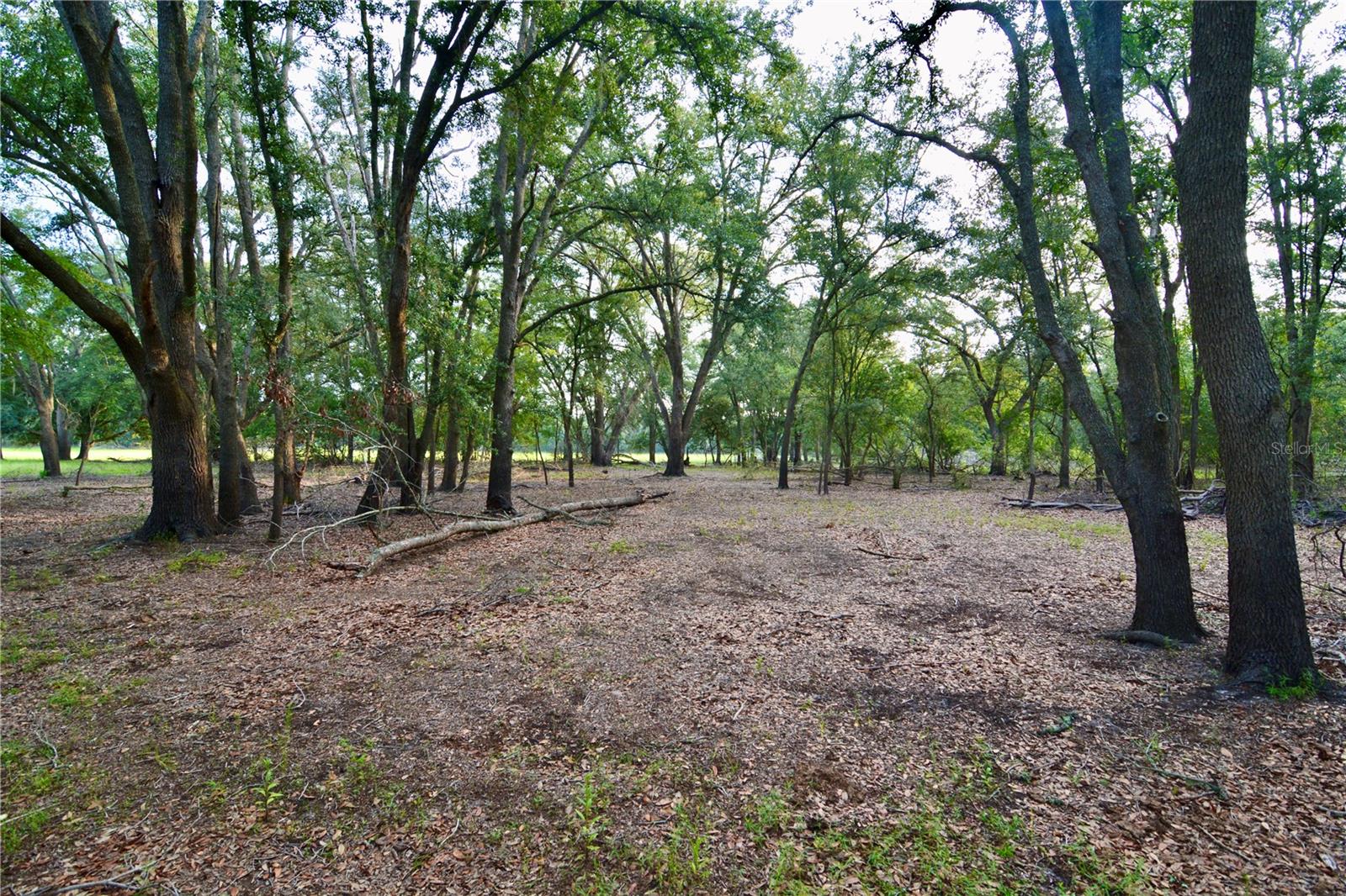 2669 NW SUWANNEE VALLEY RD, LAKE CITY, FL — photo 30