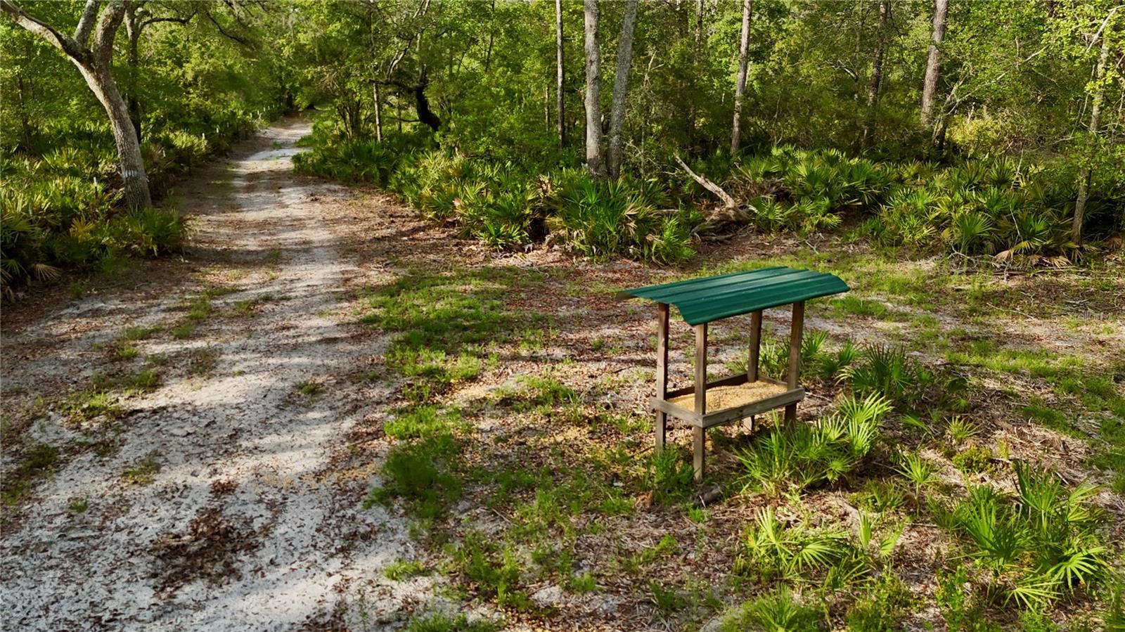 2669 NW SUWANNEE VALLEY RD, LAKE CITY, FL — photo 48