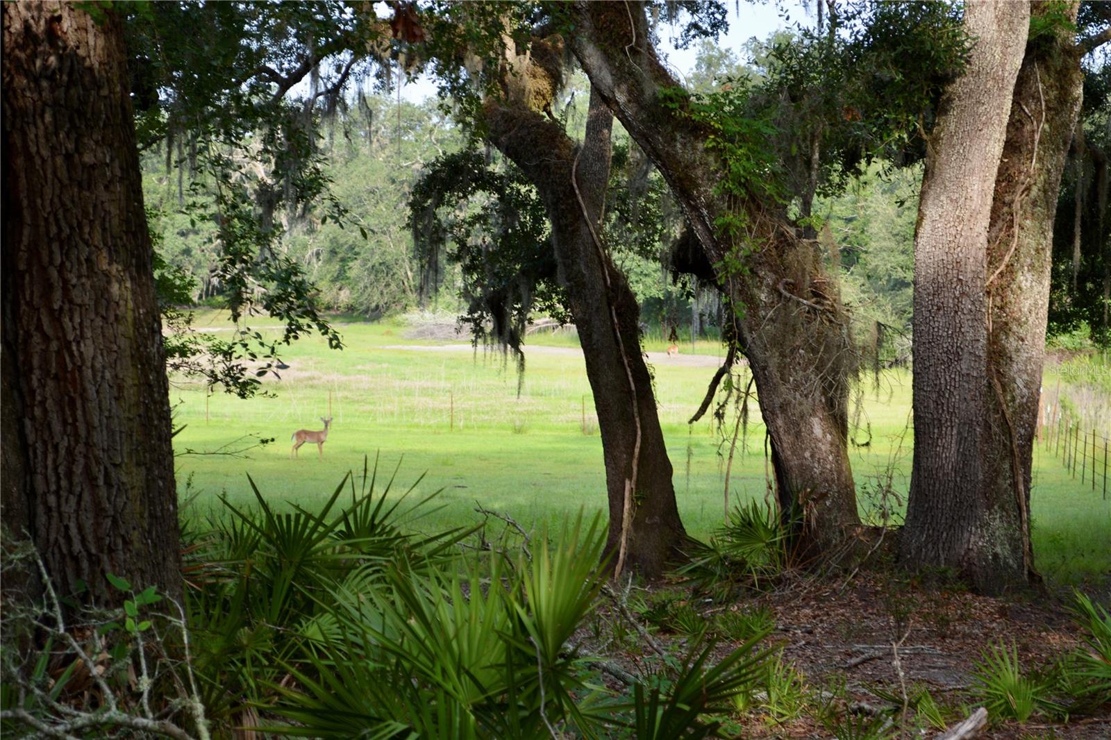 2669 NW SUWANNEE VALLEY RD, LAKE CITY, FL — photo 49