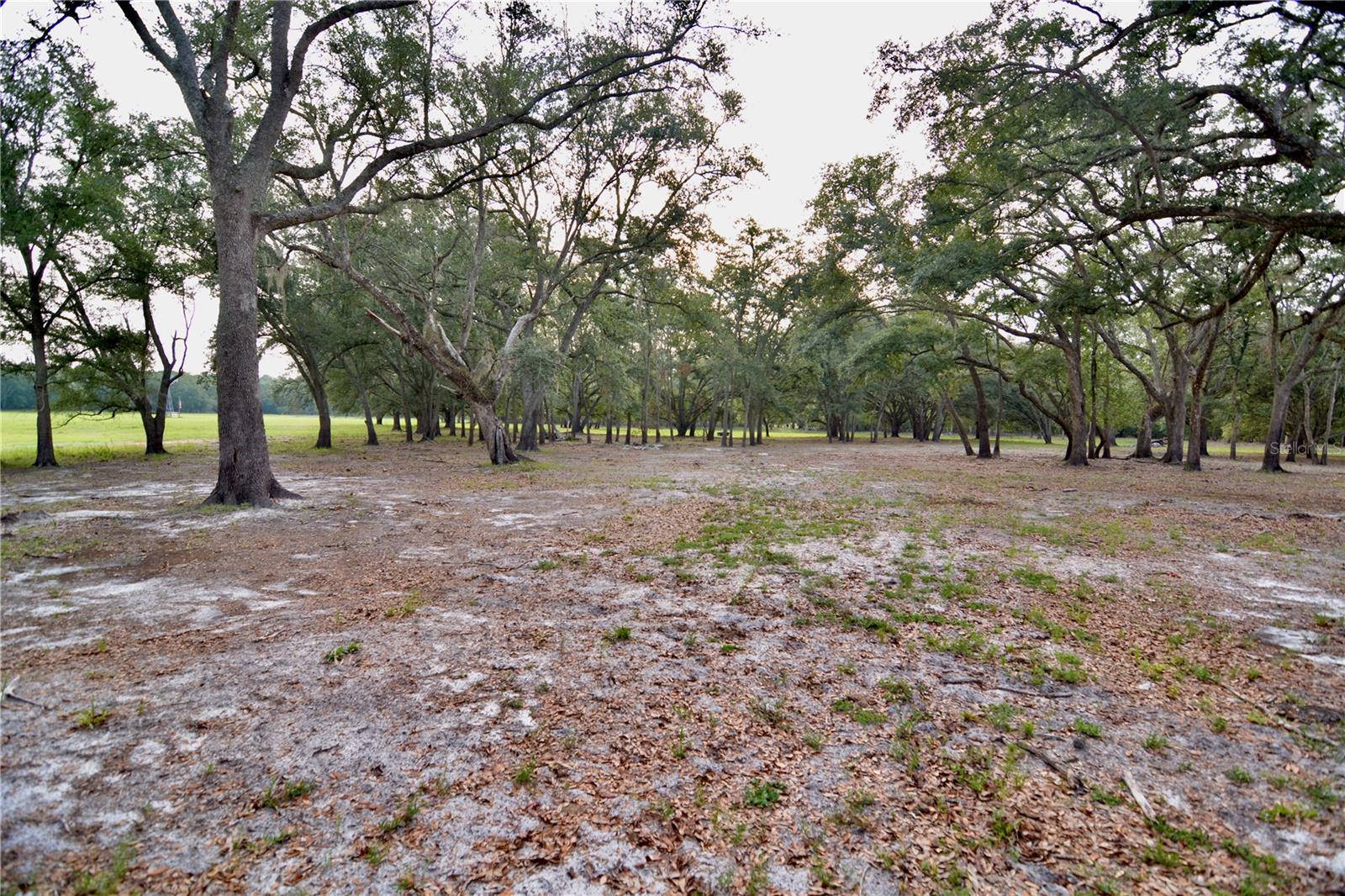 2669 NW SUWANNEE VALLEY RD, LAKE CITY, FL — photo 52