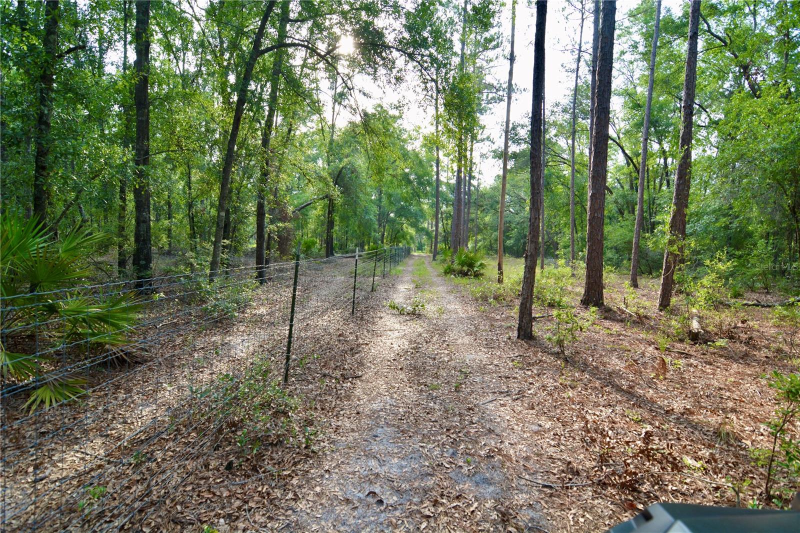 2669 NW SUWANNEE VALLEY RD, LAKE CITY, FL — photo 59