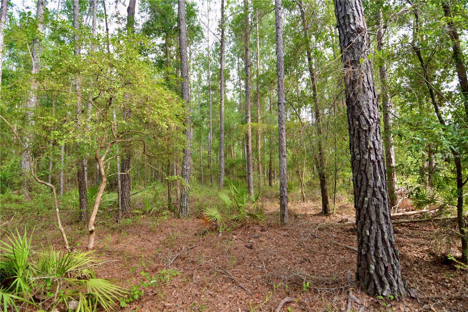 2669 NW SUWANNEE VALLEY RD, LAKE CITY, FL — photo 62