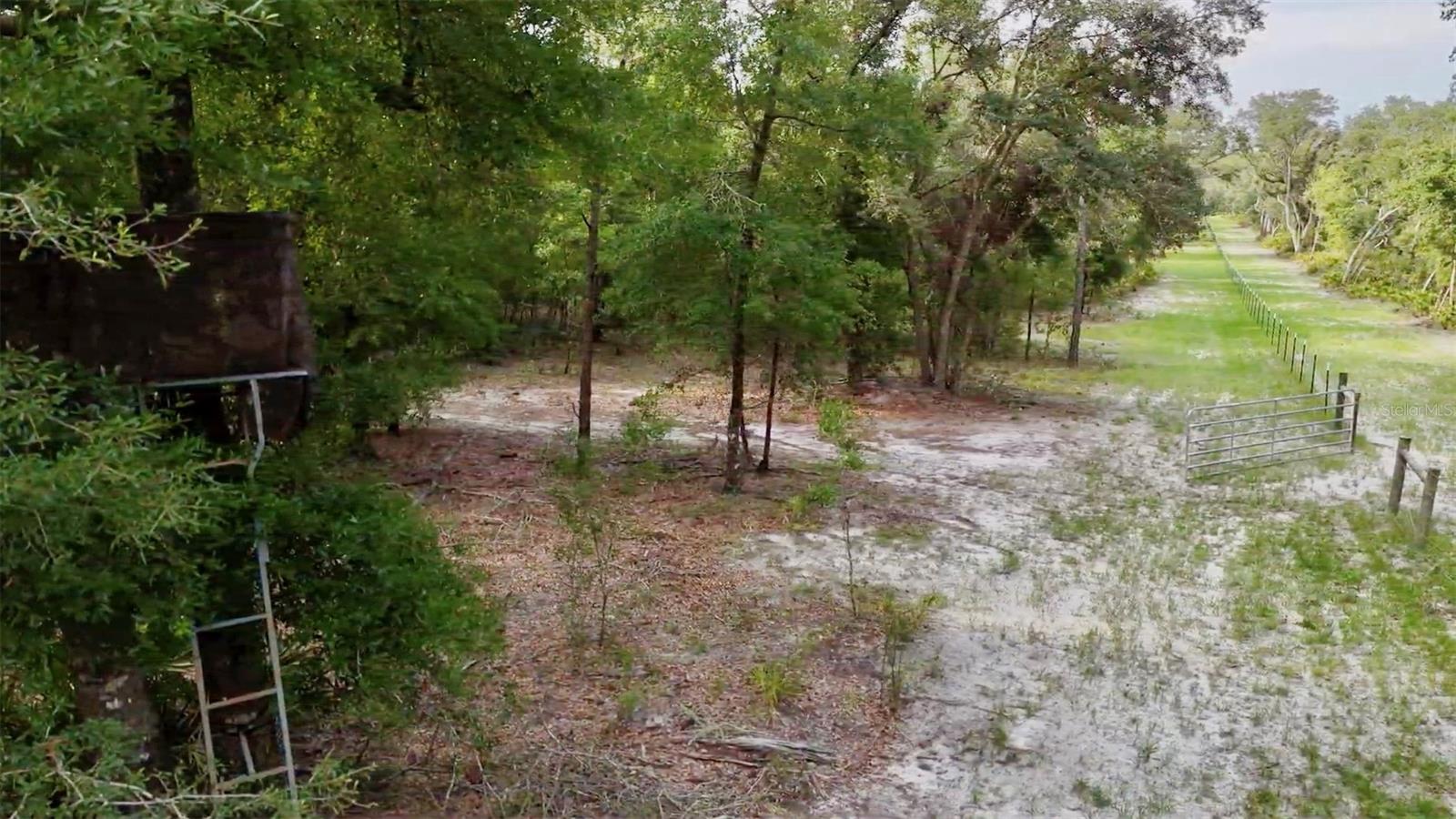 2669 NW SUWANNEE VALLEY RD, LAKE CITY, FL — photo 100
