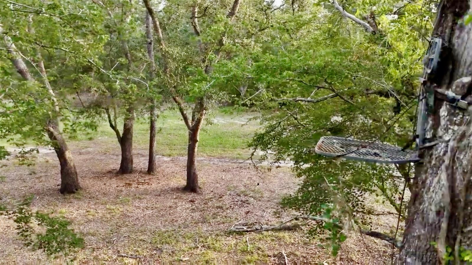 2669 NW SUWANNEE VALLEY RD, LAKE CITY, FL — photo 101
