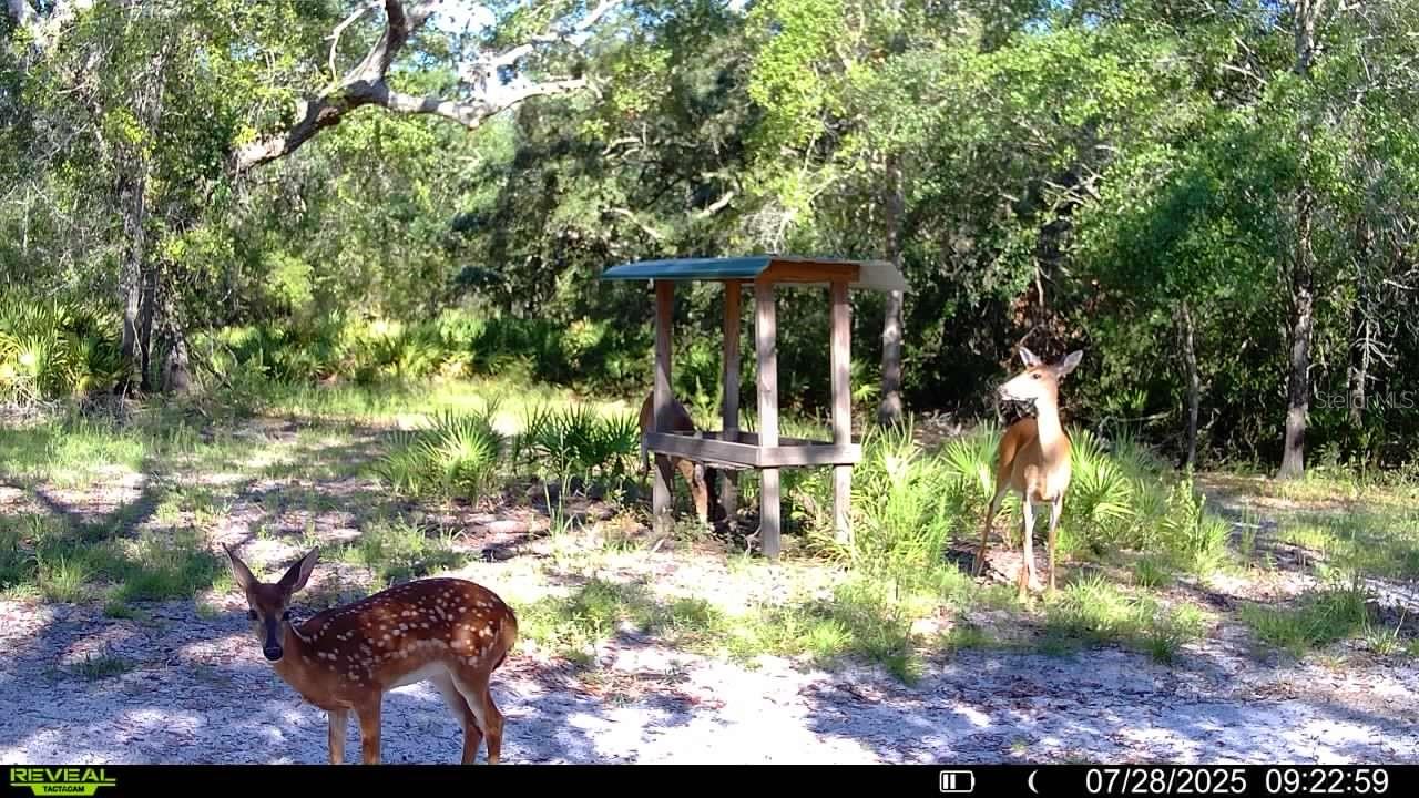 2669 NW SUWANNEE VALLEY RD, LAKE CITY, FL — photo 123