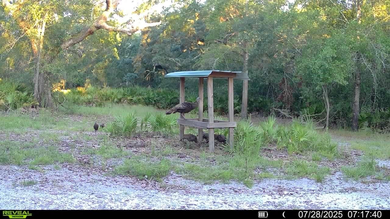 2669 NW SUWANNEE VALLEY RD, LAKE CITY, FL — photo 125