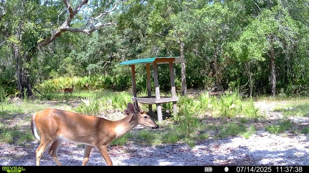 2669 NW SUWANNEE VALLEY RD, LAKE CITY, FL — photo 127