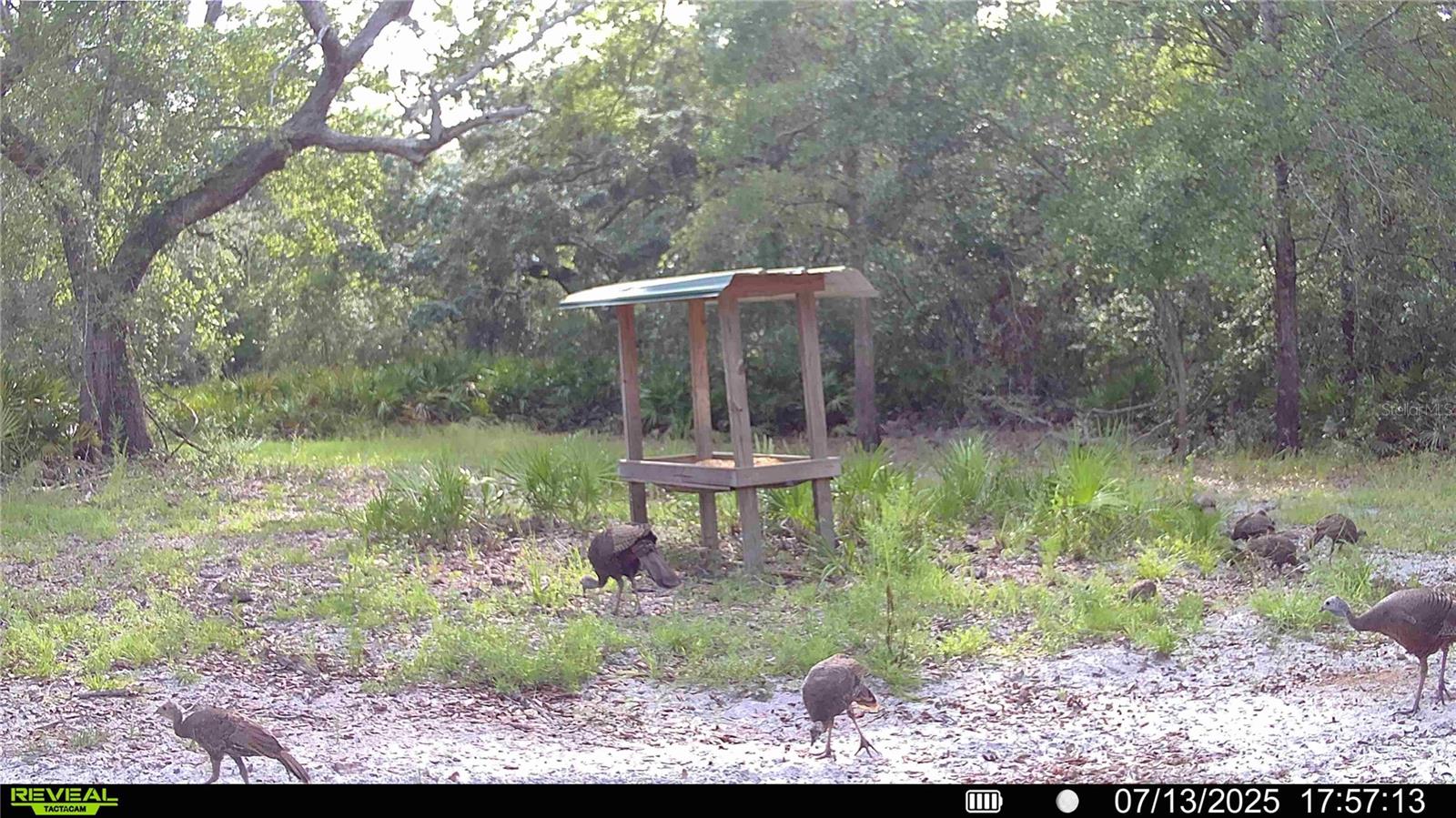 2669 NW SUWANNEE VALLEY RD, LAKE CITY, FL — photo 130