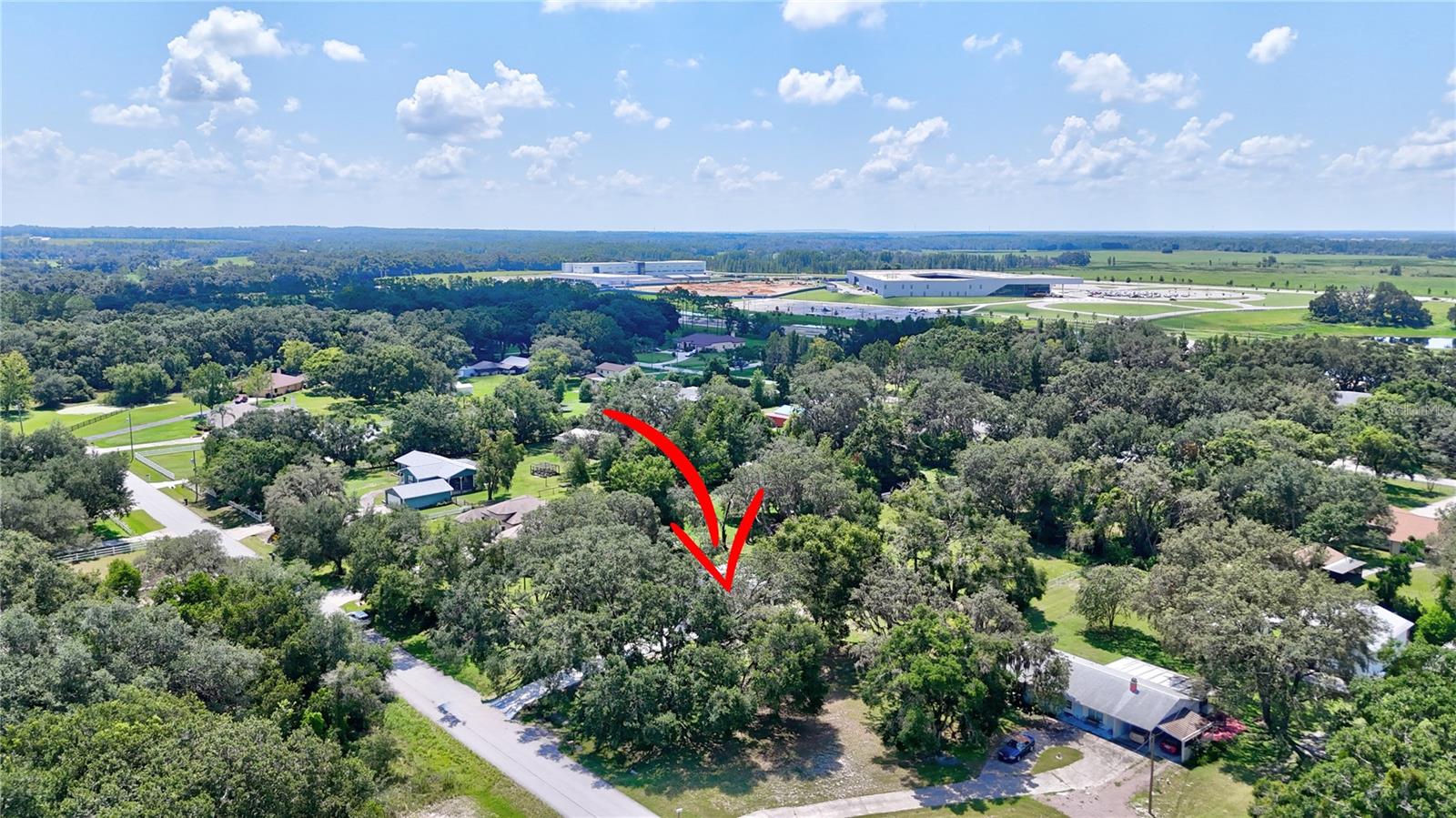 32524 GREENWOOD LOOP, WESLEY CHAPEL, FL — photo 18