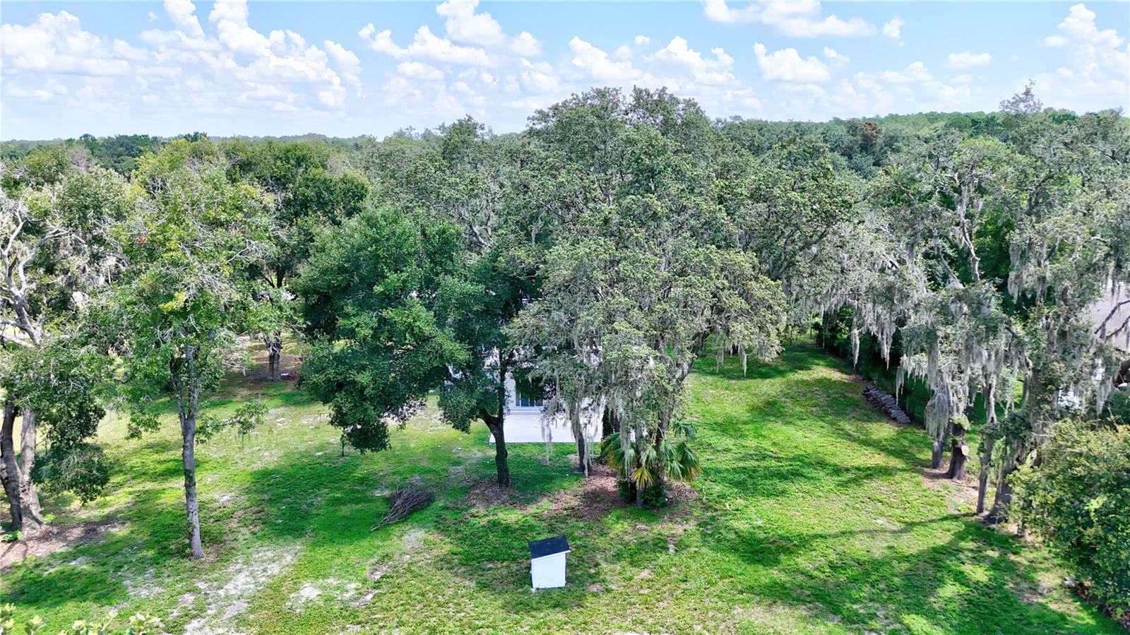 32524 GREENWOOD LOOP, WESLEY CHAPEL, FL — photo 24