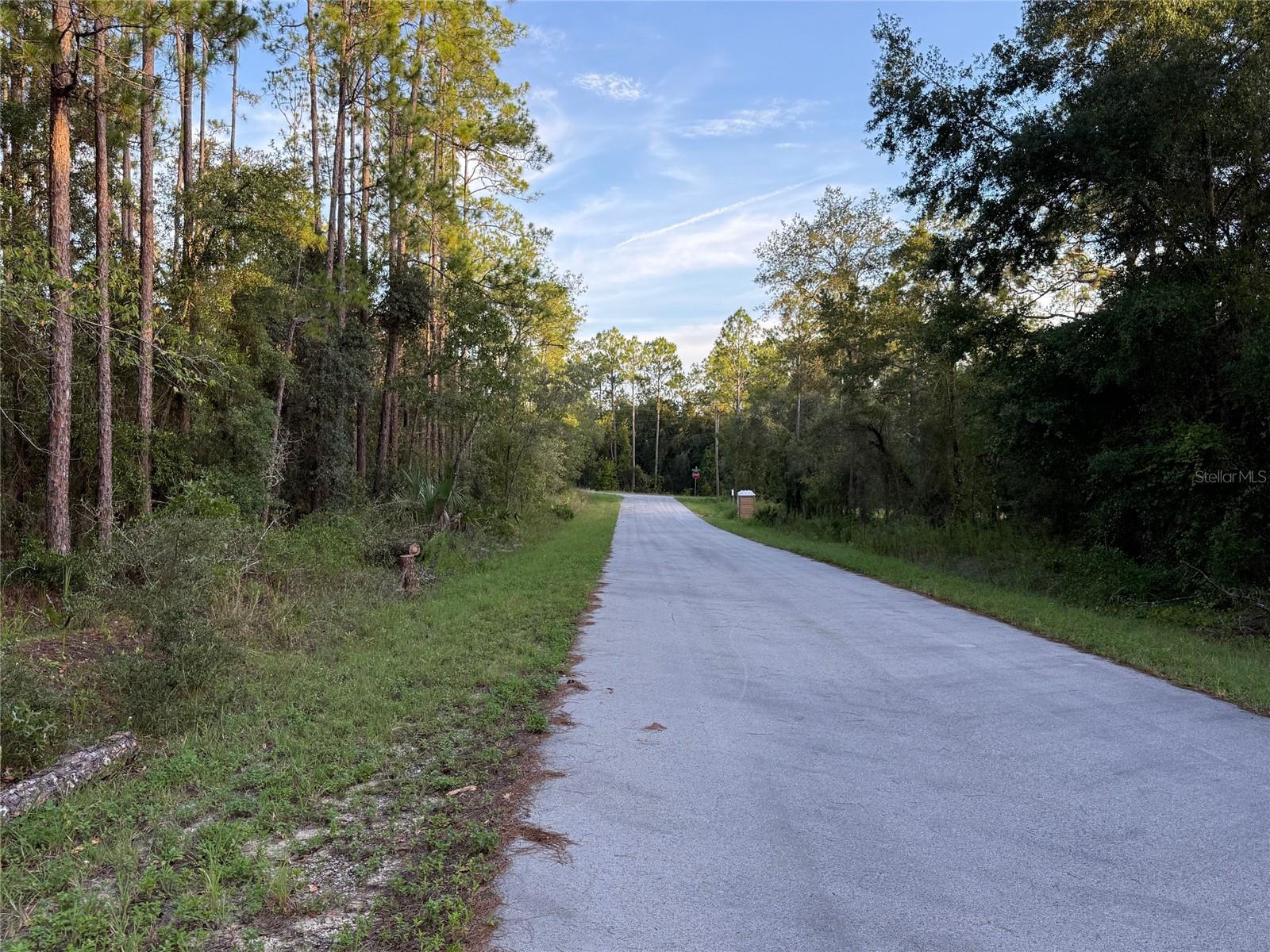 TBD SW SOUTH WATER CT, DUNNELLON, FL — photo 5