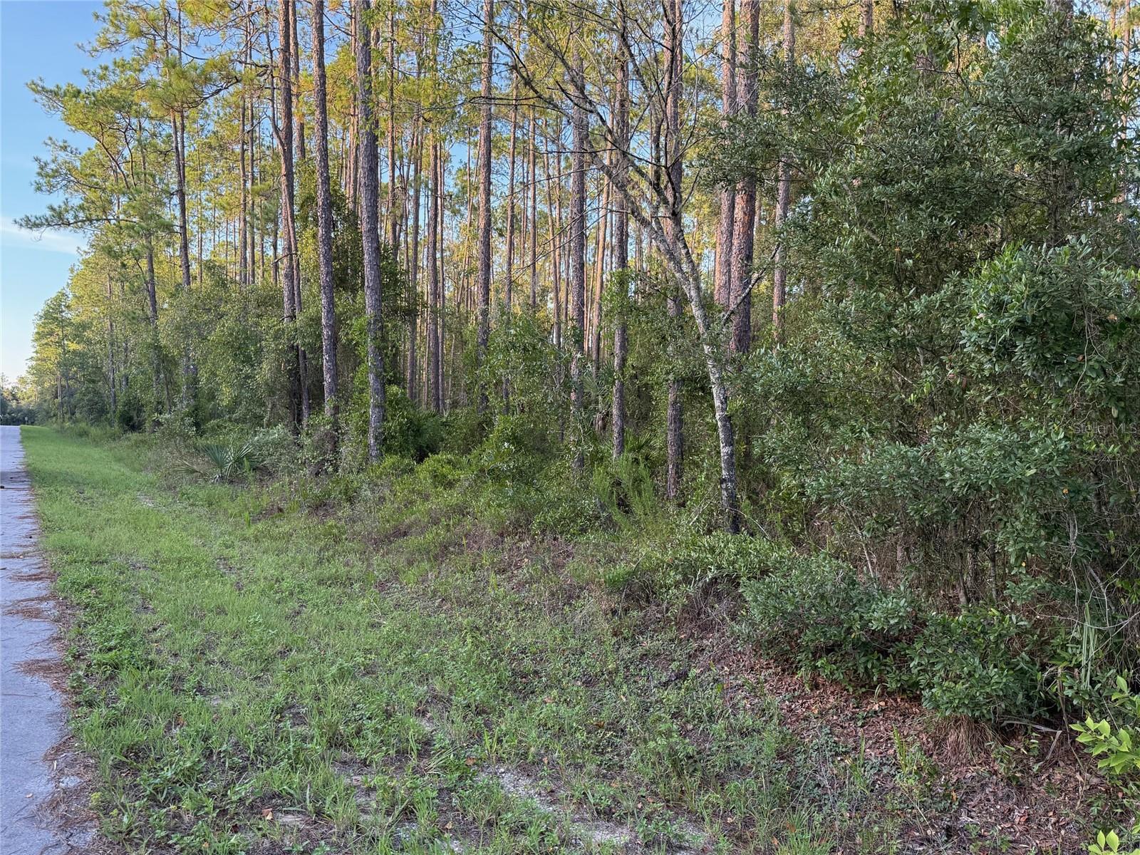 TBD SW SOUTH WATER CT, DUNNELLON, FL — photo 8