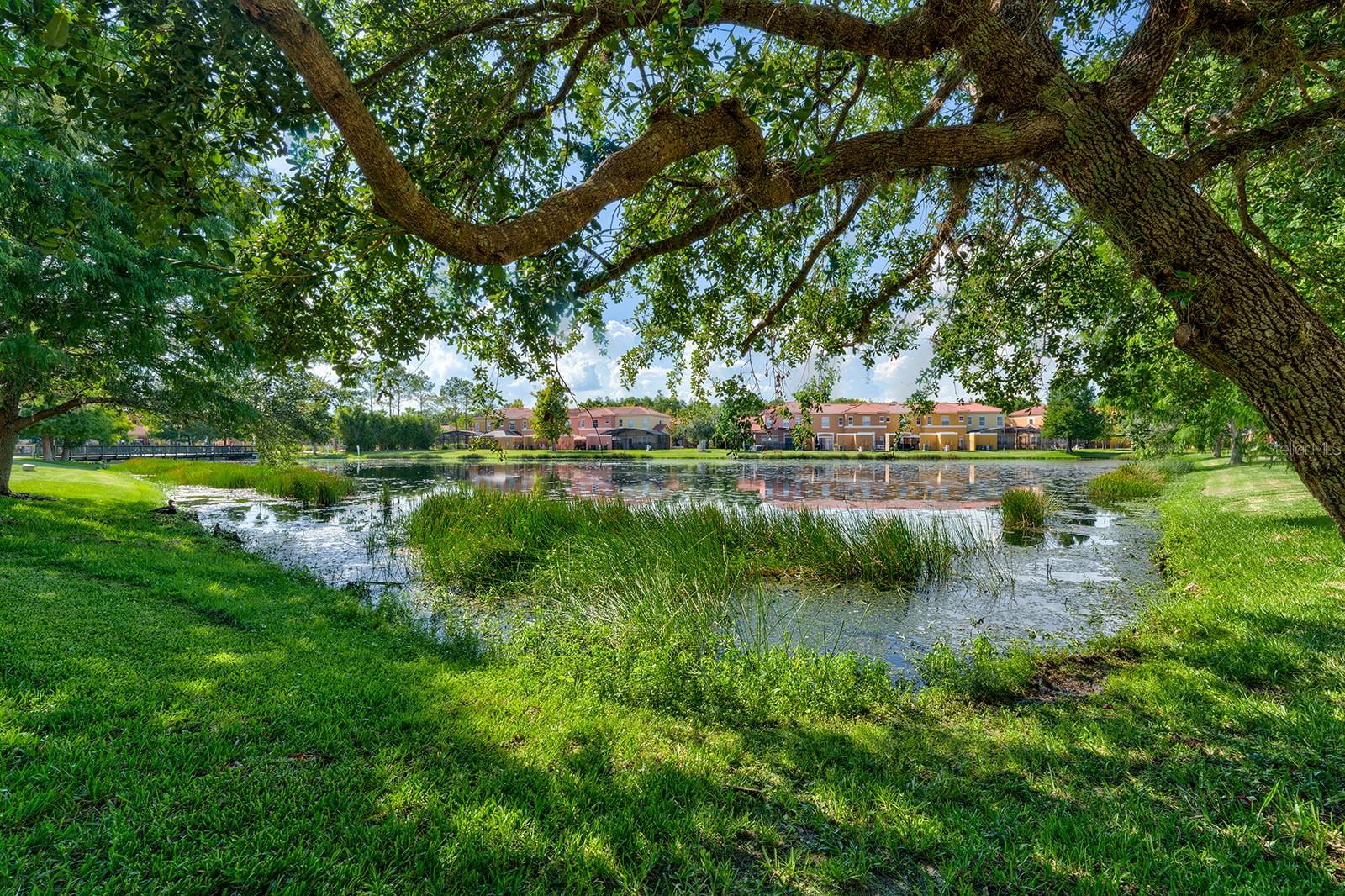 4717 FLAGLER BEACH WAY, KISSIMMEE, FL — photo 47