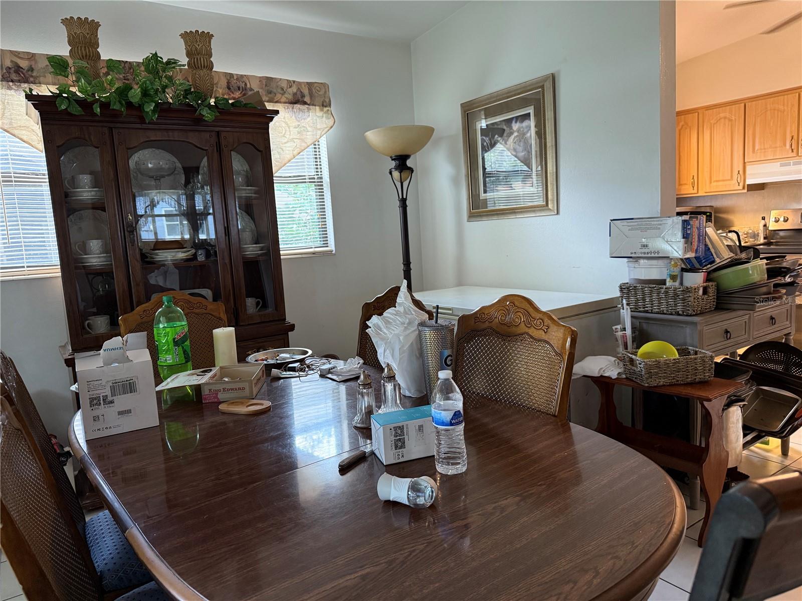 1117 OAKLAND, TAVARES, FL — photo 10