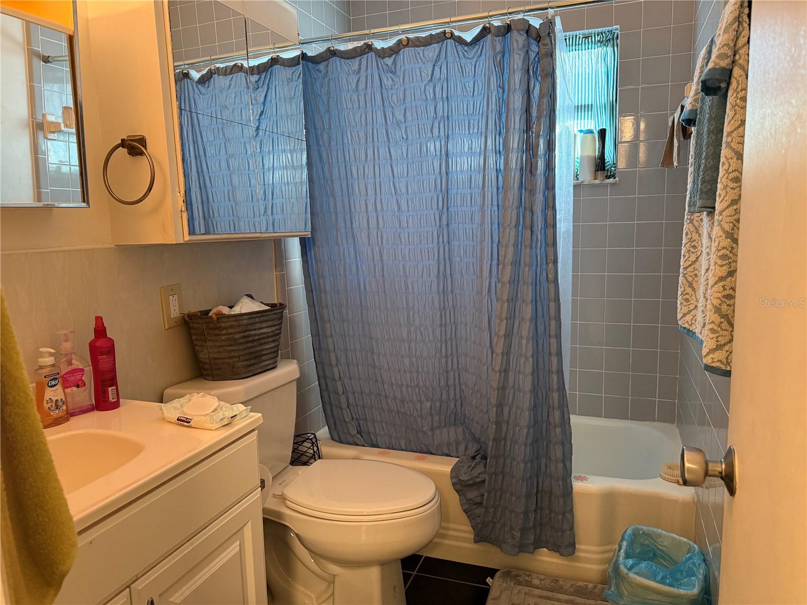 1117 OAKLAND, TAVARES, FL — photo 31