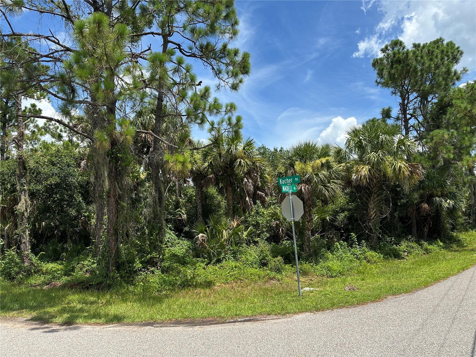 NADELL RD, NORTH PORT, FL — photo 3