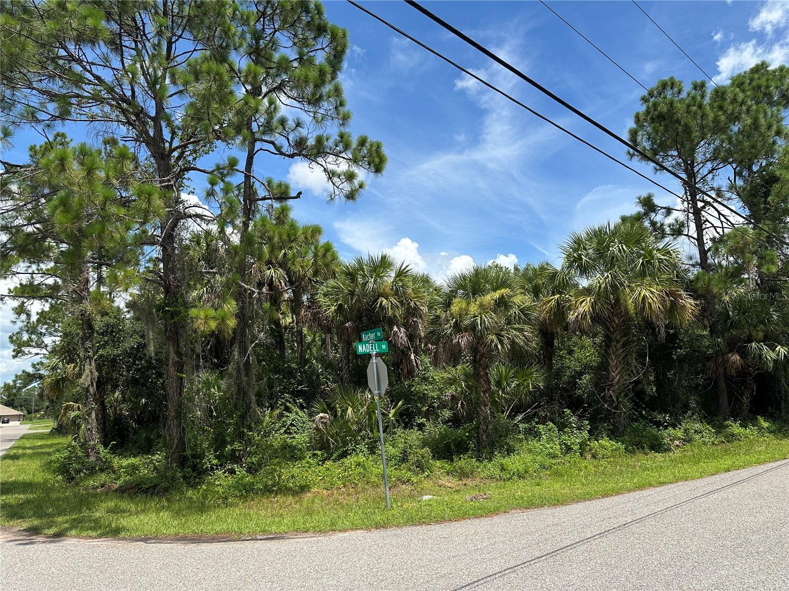 NADELL RD, NORTH PORT, FL — photo 15