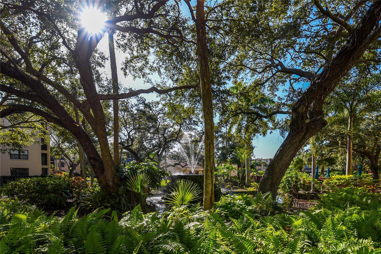 625 30TH AVE W #G107, BRADENTON, FL — photo 56