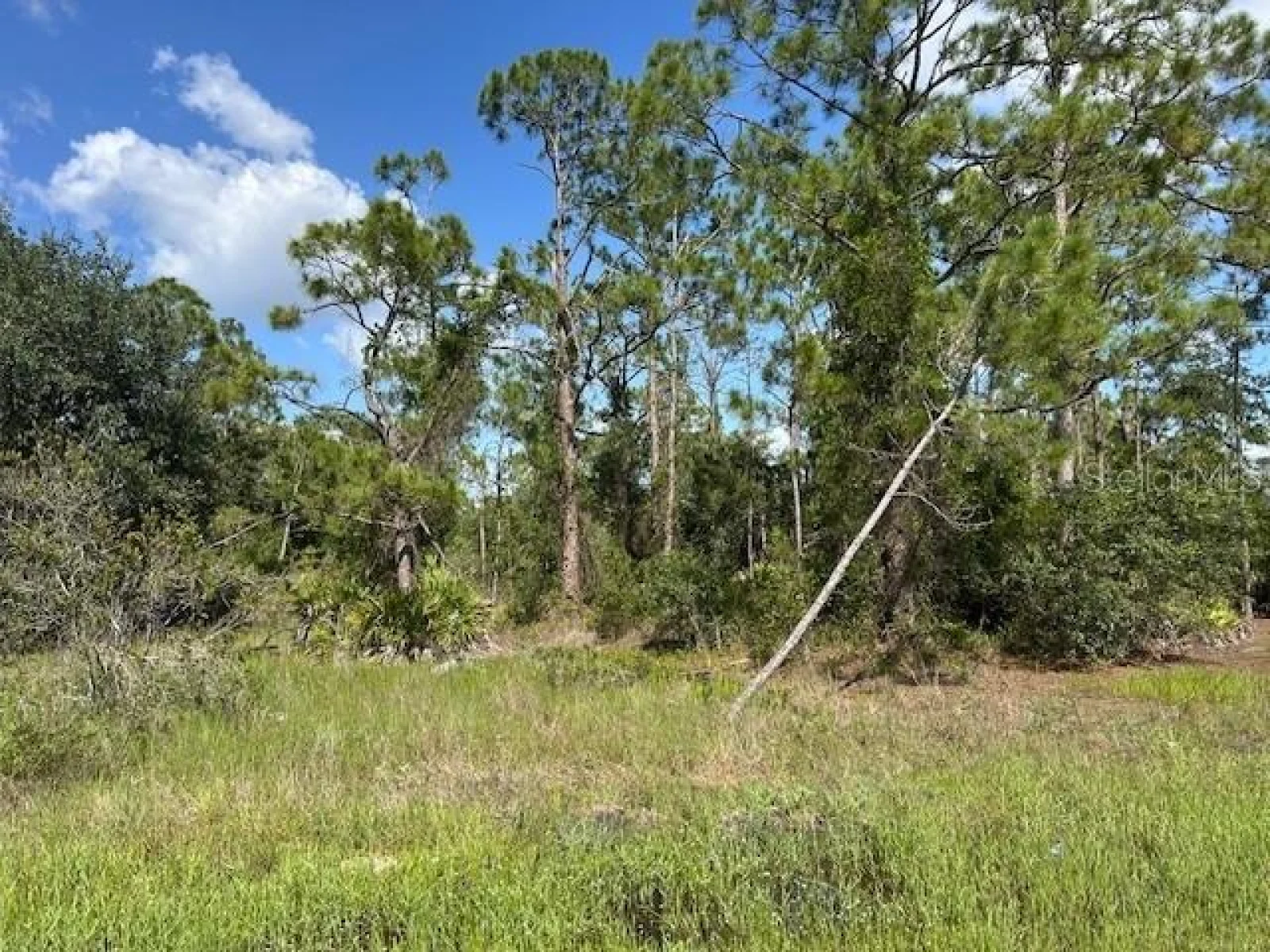 13036 APACHE DR, PUNTA GORDA, FL — photo 4