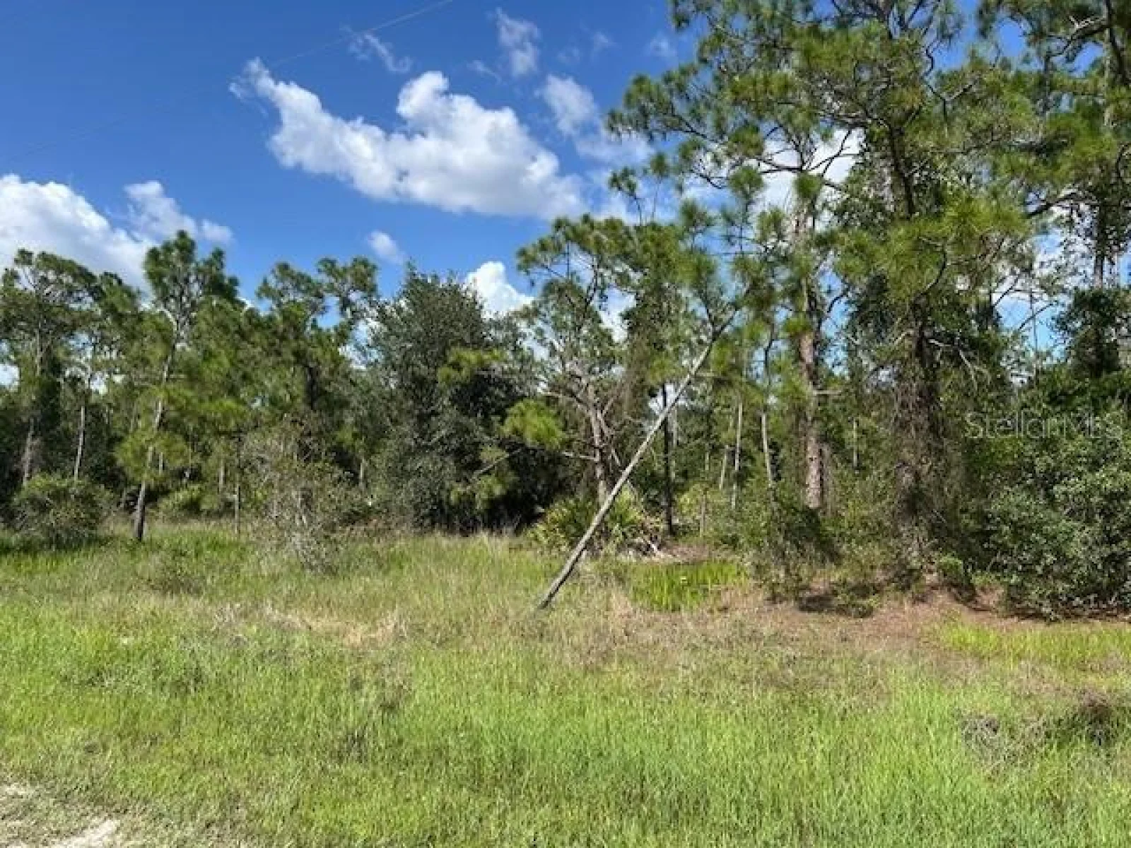 13036 APACHE DR, PUNTA GORDA, FL — photo 7