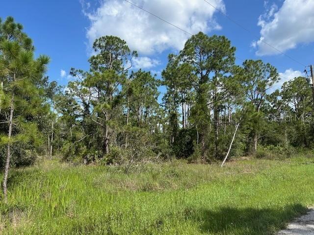 13042 APACHE DR, PUNTA GORDA, FL — photo 3