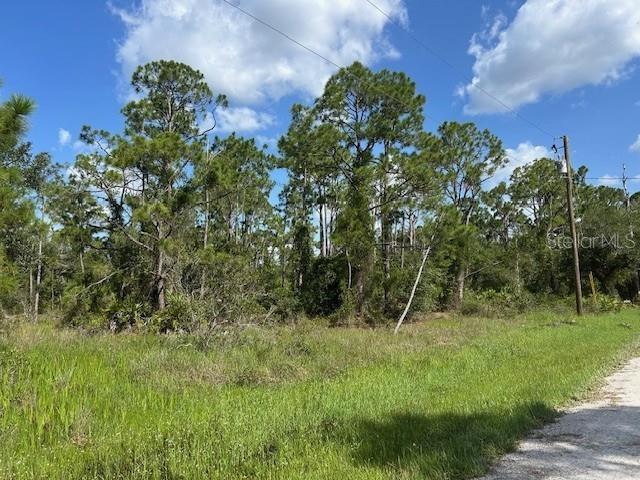 13042 APACHE DR, PUNTA GORDA, FL — photo 5
