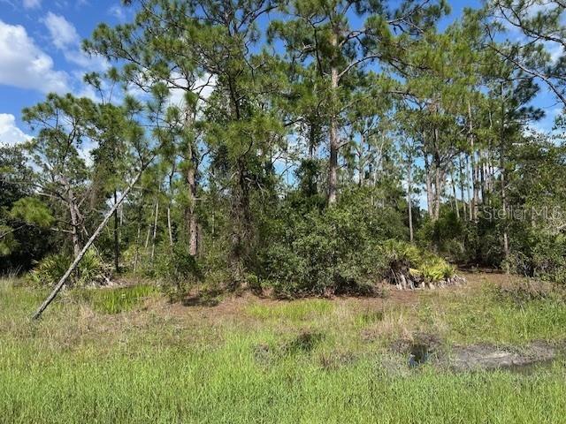 13042 APACHE DR, PUNTA GORDA, FL — photo 11