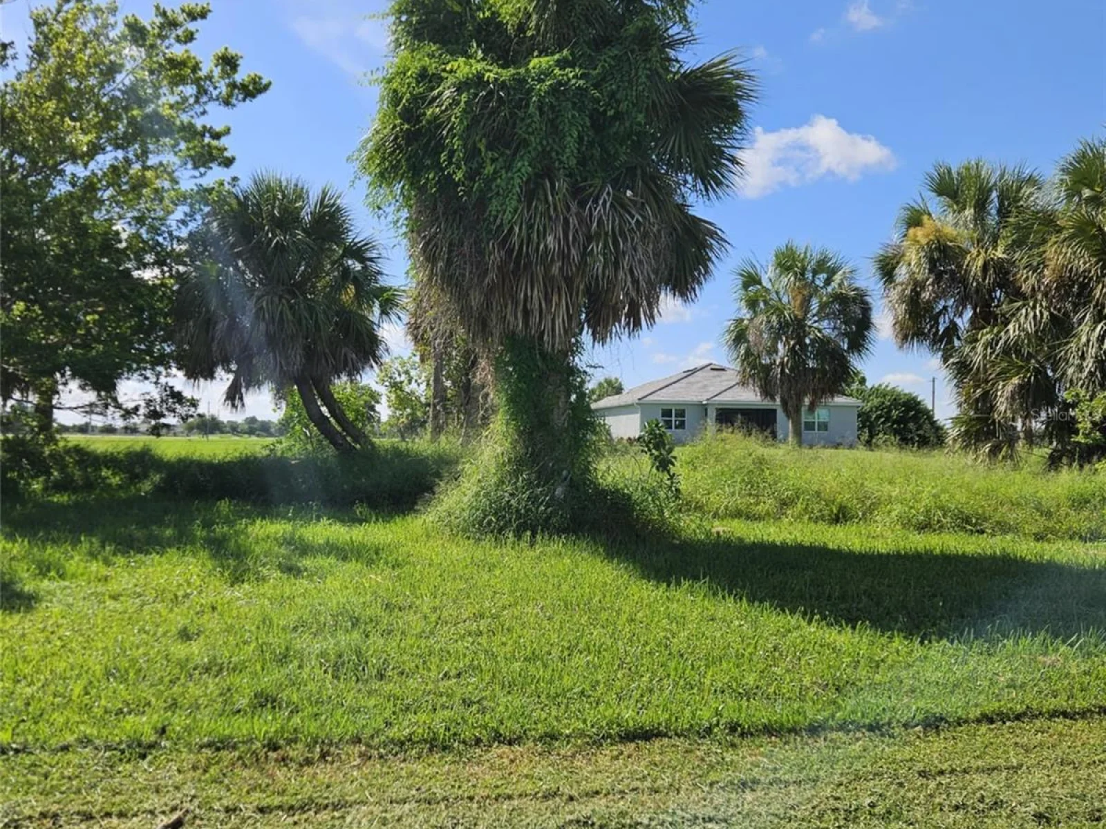 16258 CAPE HORN BLVD, PUNTA GORDA, FL — photo 1