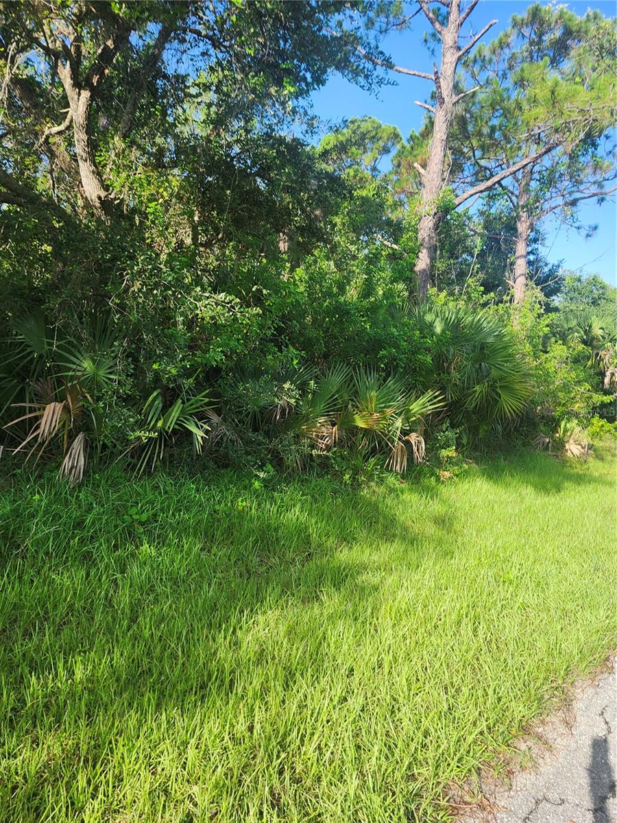 18185 POSTON AVENUE, PORT CHARLOTTE, FL — photo 3