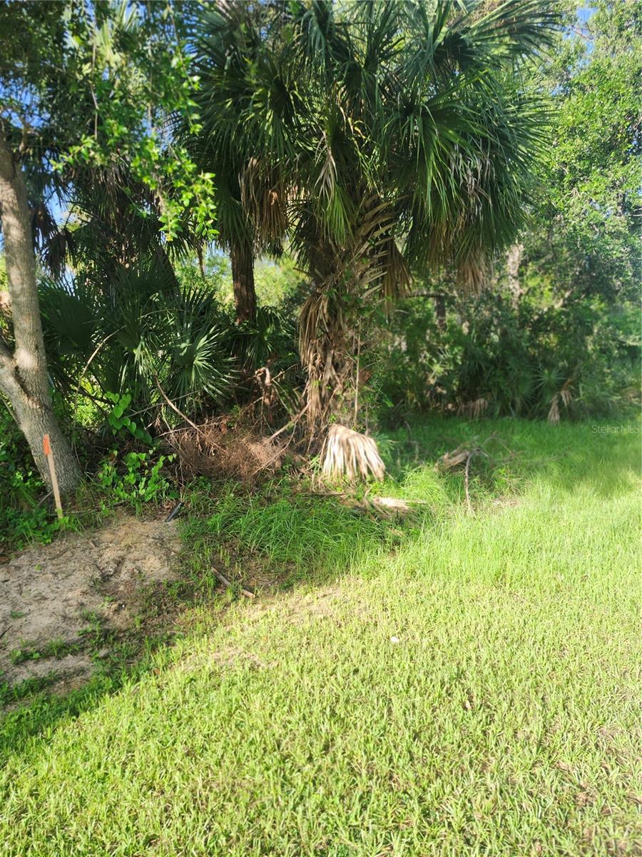 18185 POSTON AVENUE, PORT CHARLOTTE, FL — photo 6