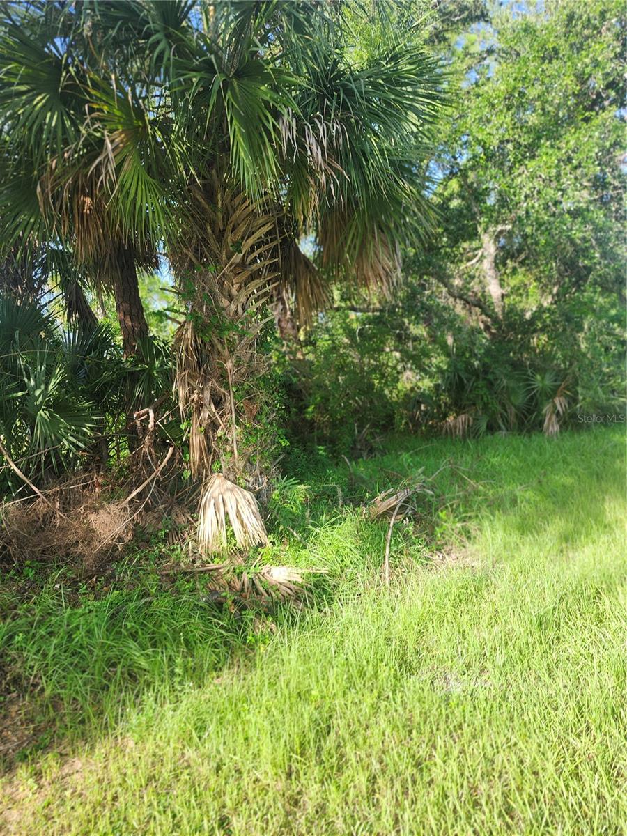18185 POSTON AVENUE, PORT CHARLOTTE, FL — photo 7