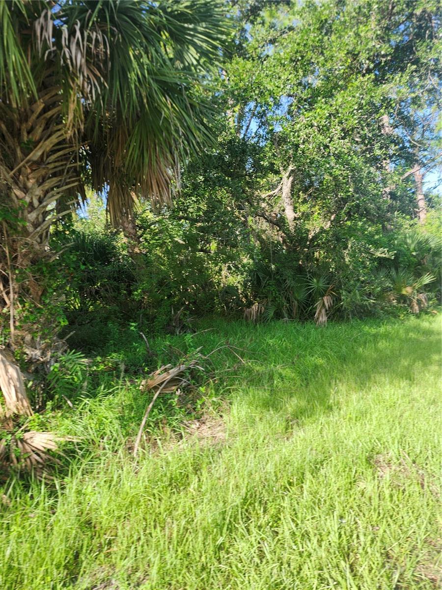 18185 POSTON AVENUE, PORT CHARLOTTE, FL — photo 8