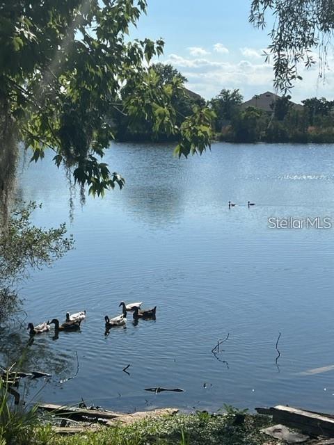 1888 DRULINER RD, ST CLOUD, FL — photo 8