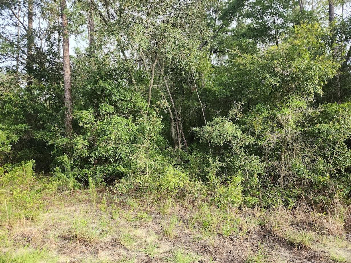 LOT 20 SW RAINBOW LAKES BLVD, DUNNELLON, FL — photo 10